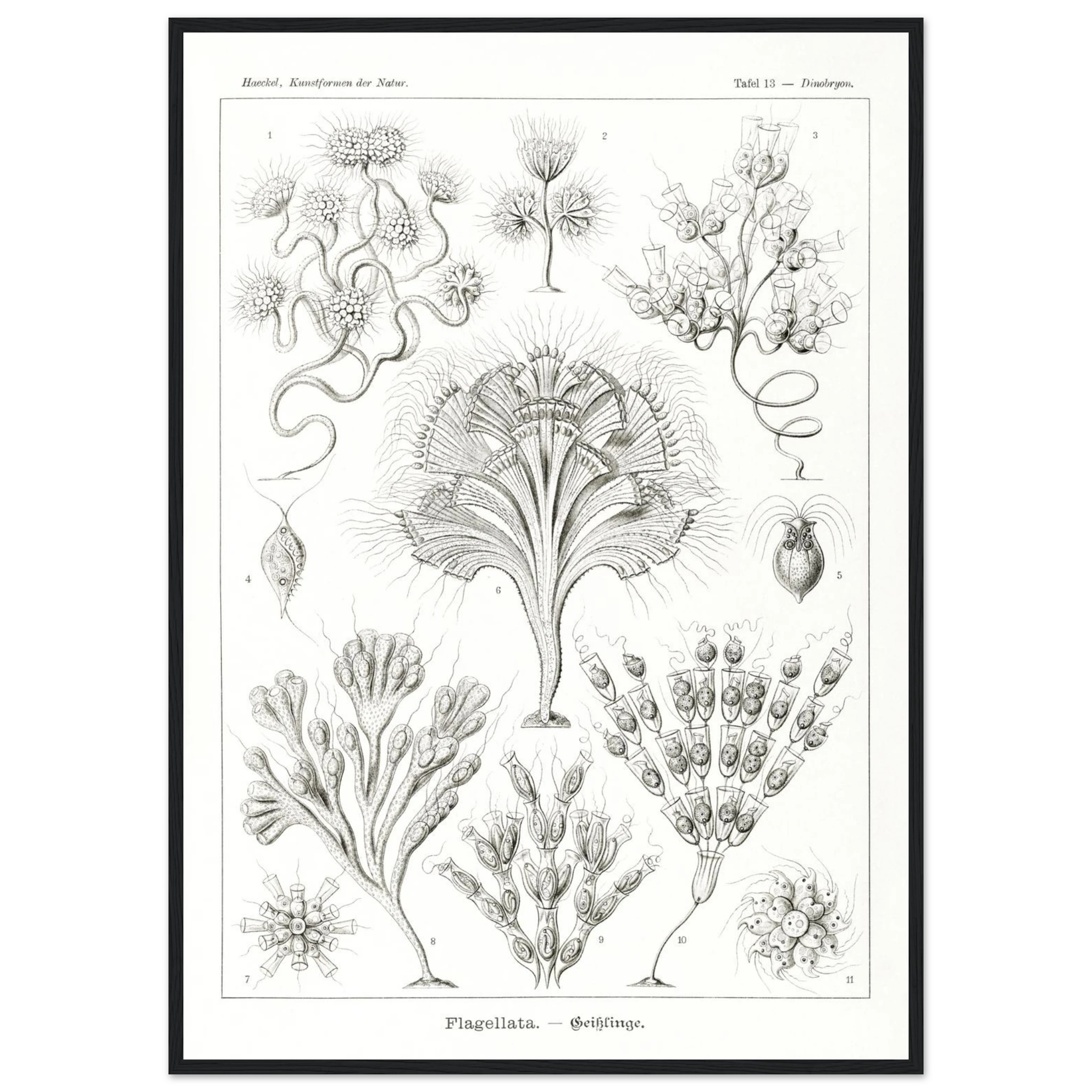 db9df6aa-11ec-4928-a5e5-2410475f3d75