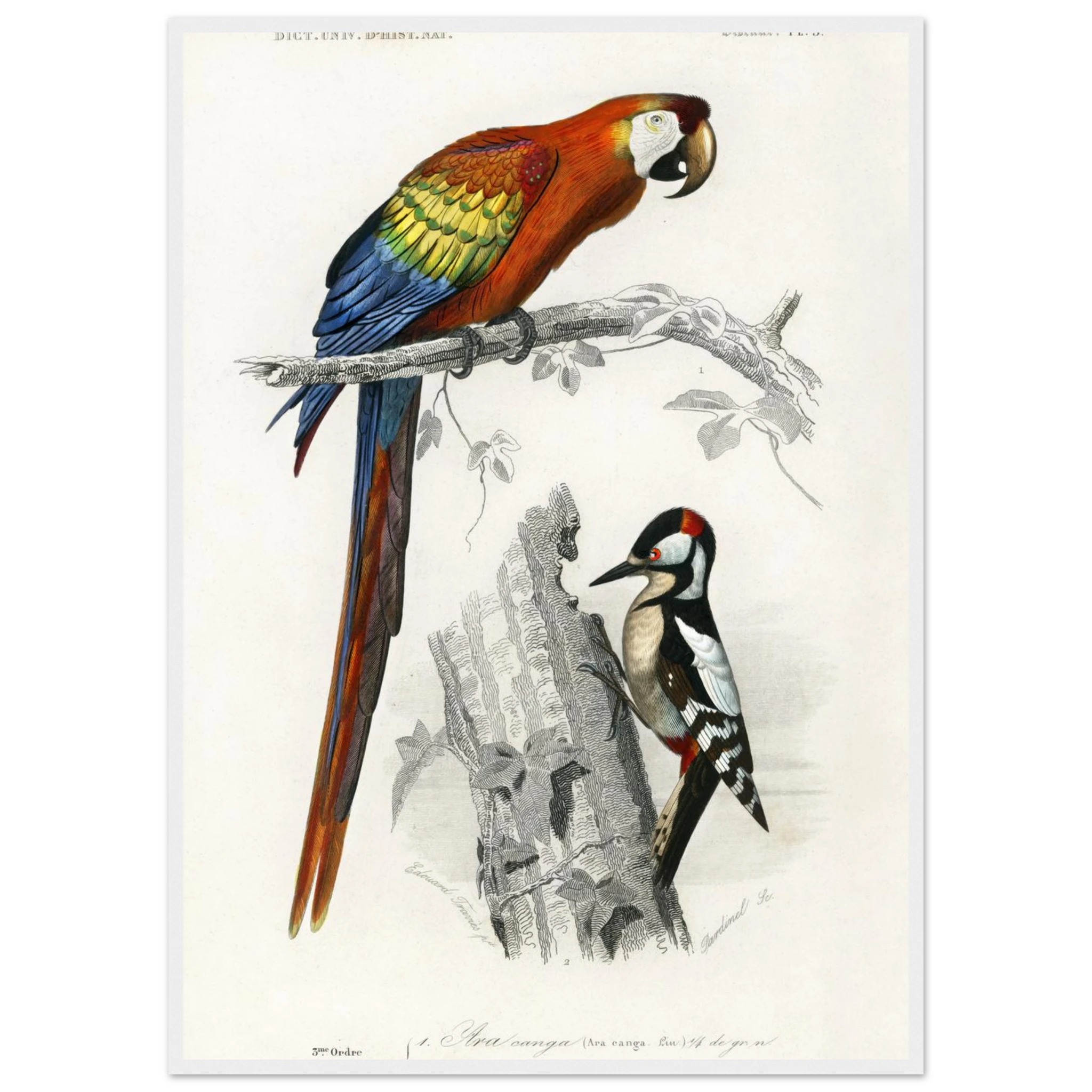 dba3200d-f099-4bb5-b554-bccf93136f01