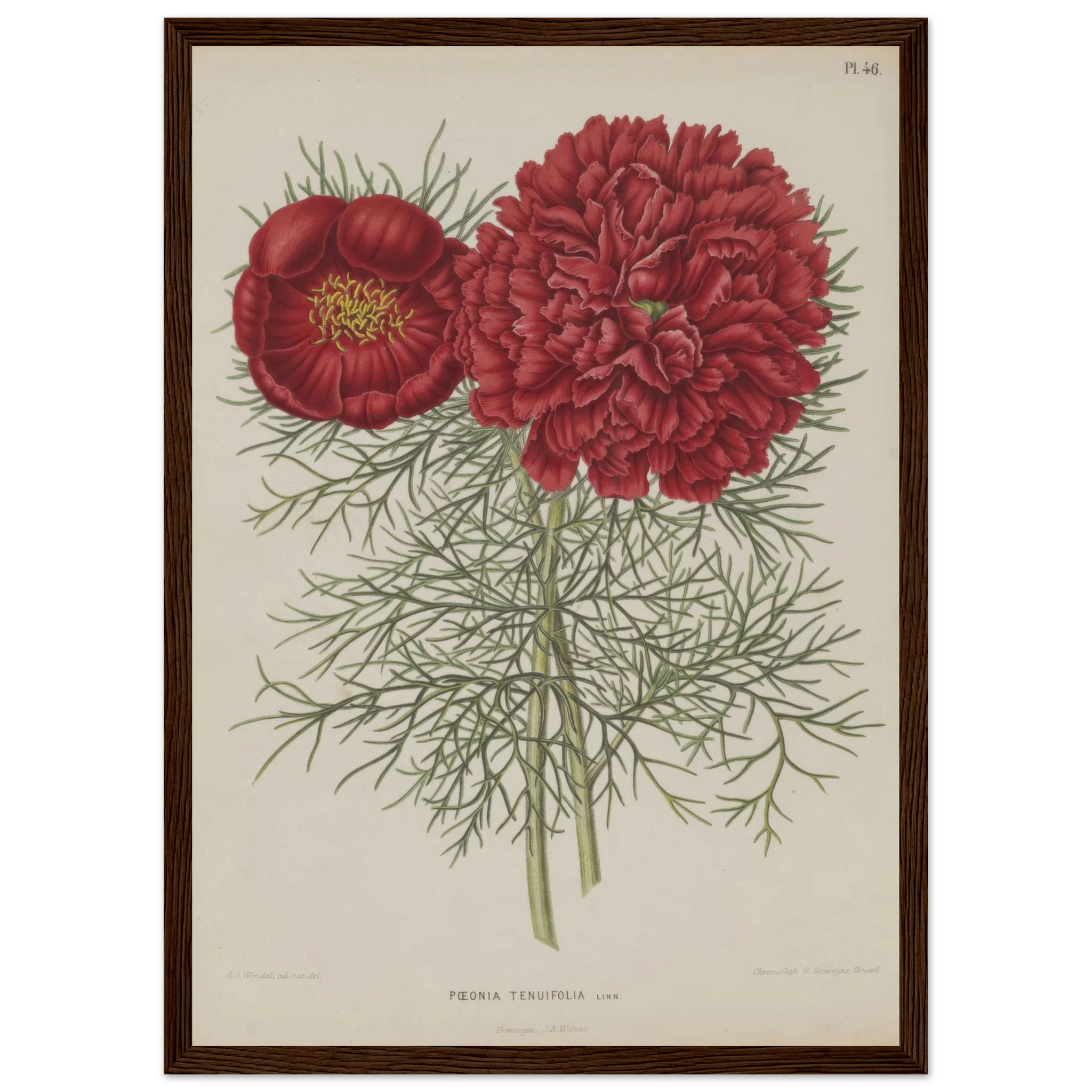 dbba22fa-3ba9-46e6-a9e8-0420102bf9df