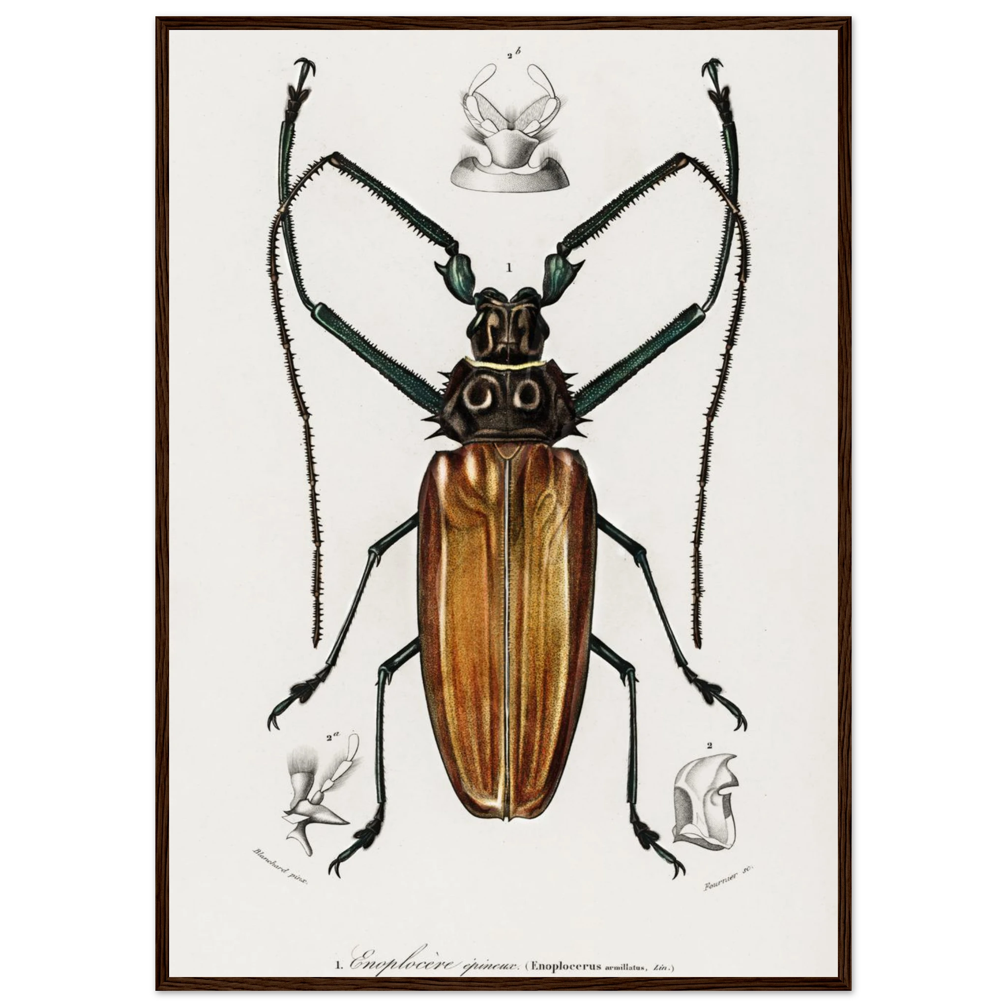 dbf6c7a1-ec59-4675-9d11-c6d59b86ee88