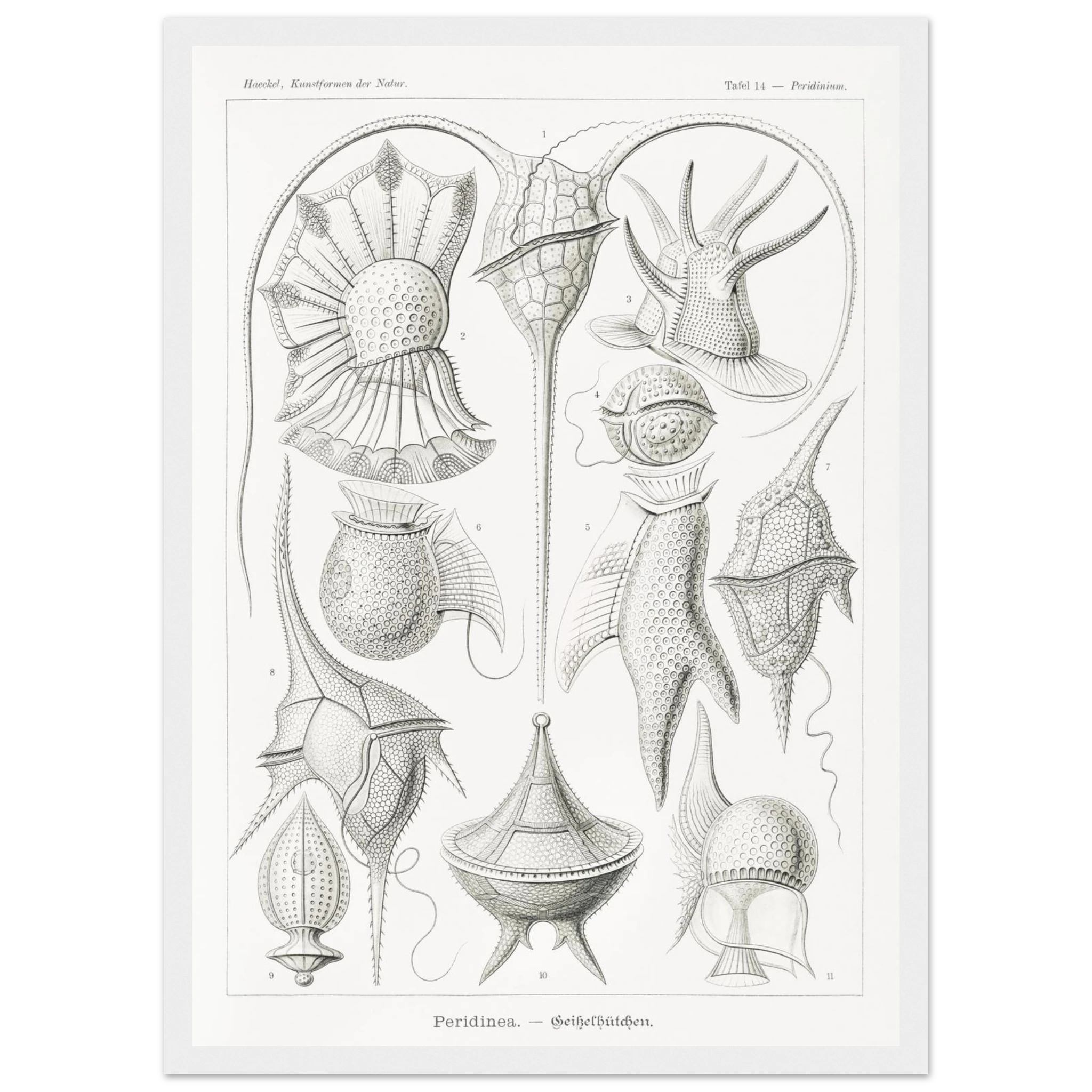 dbfd23a3-c675-4cb7-8bb1-4e610fc08c43