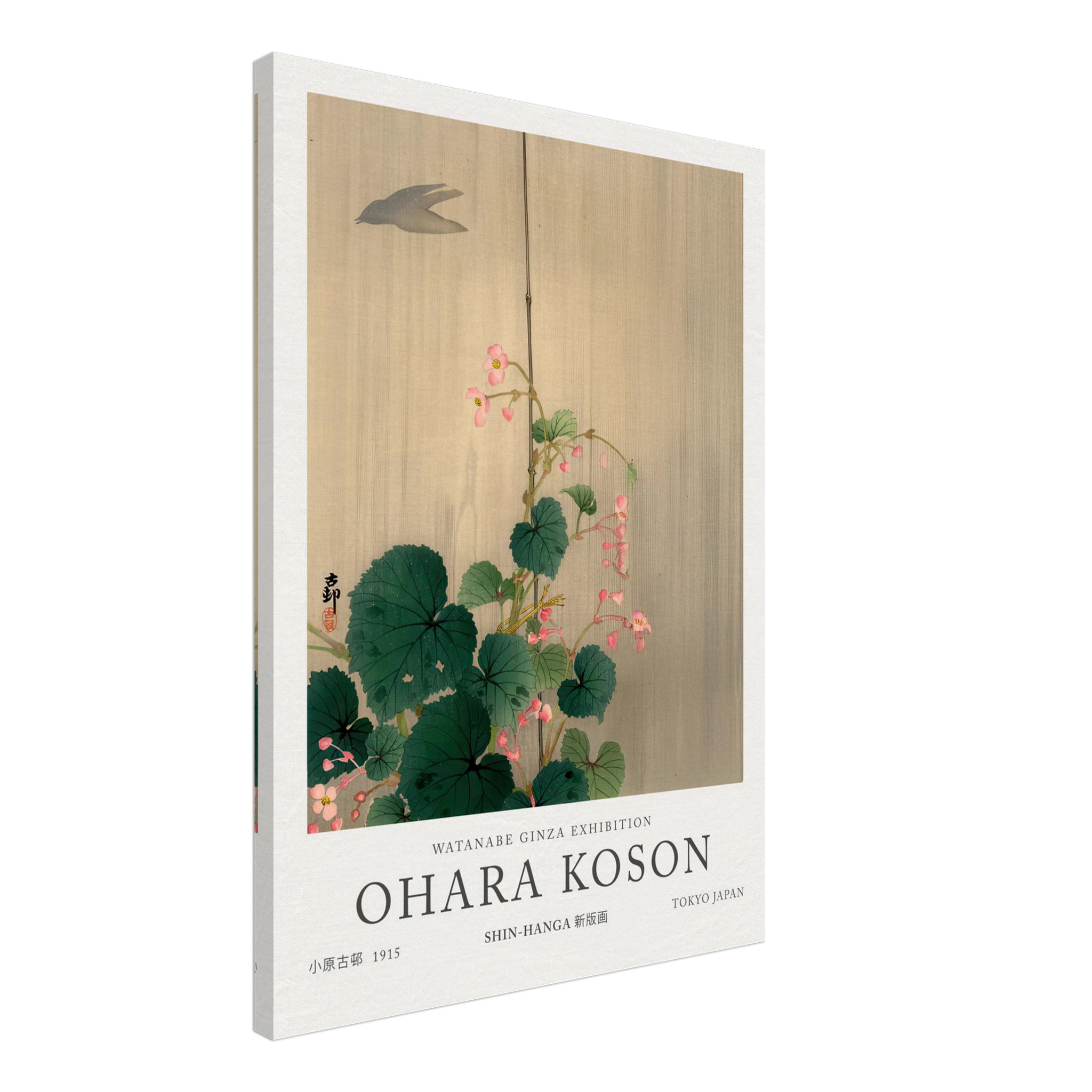 Blue Bird And Magnolia - Ohara Koson