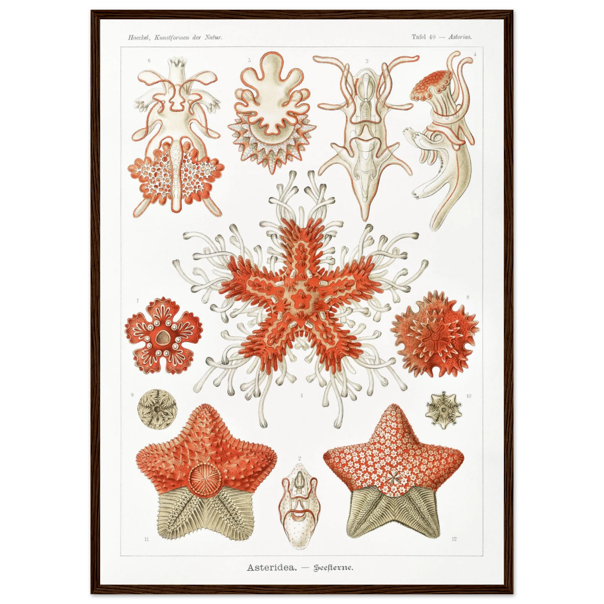 dc17a1cc-af38-4b68-8f34-92c2904cf576