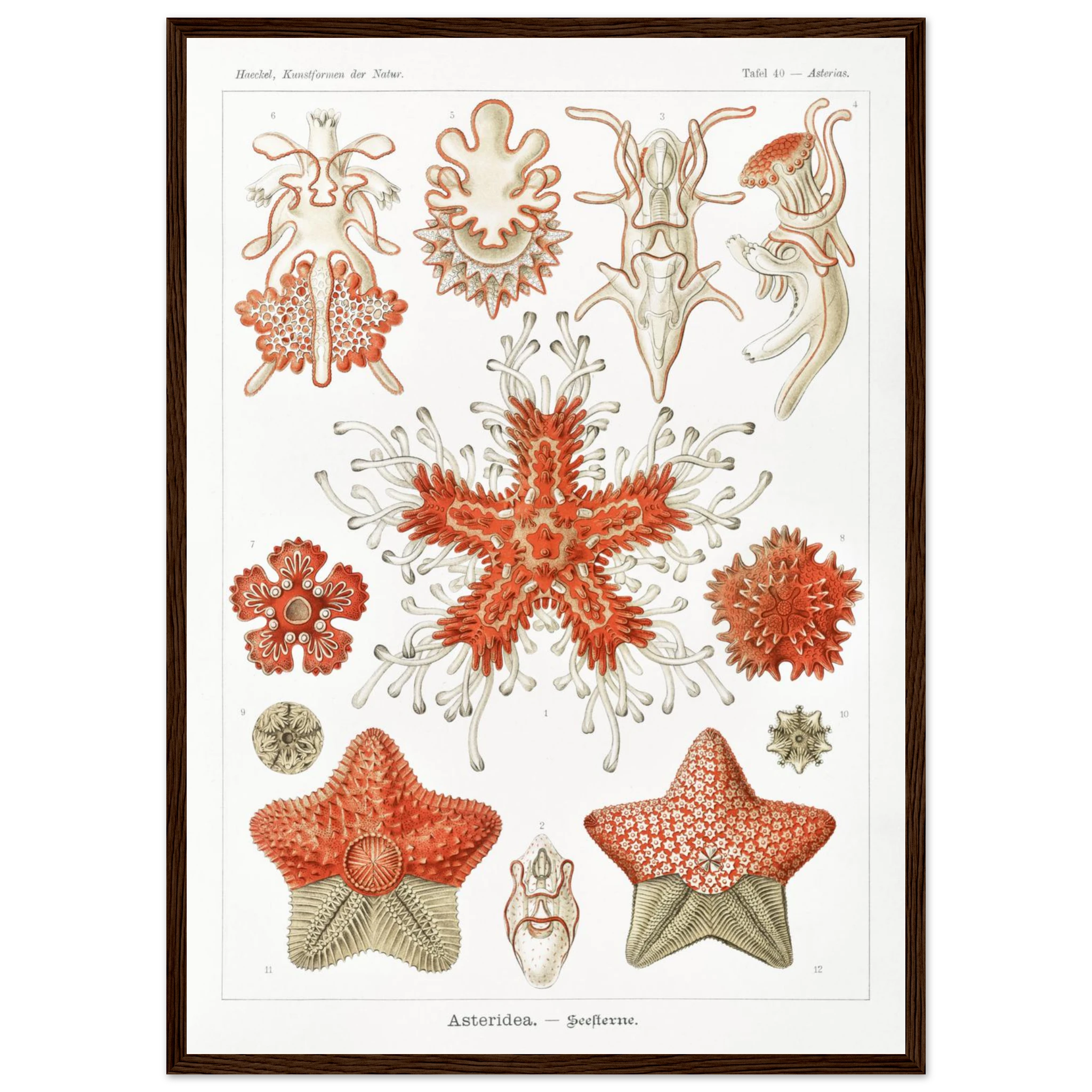 dc3d3cbb-3ef6-4d44-a8dd-cde3a75d156b