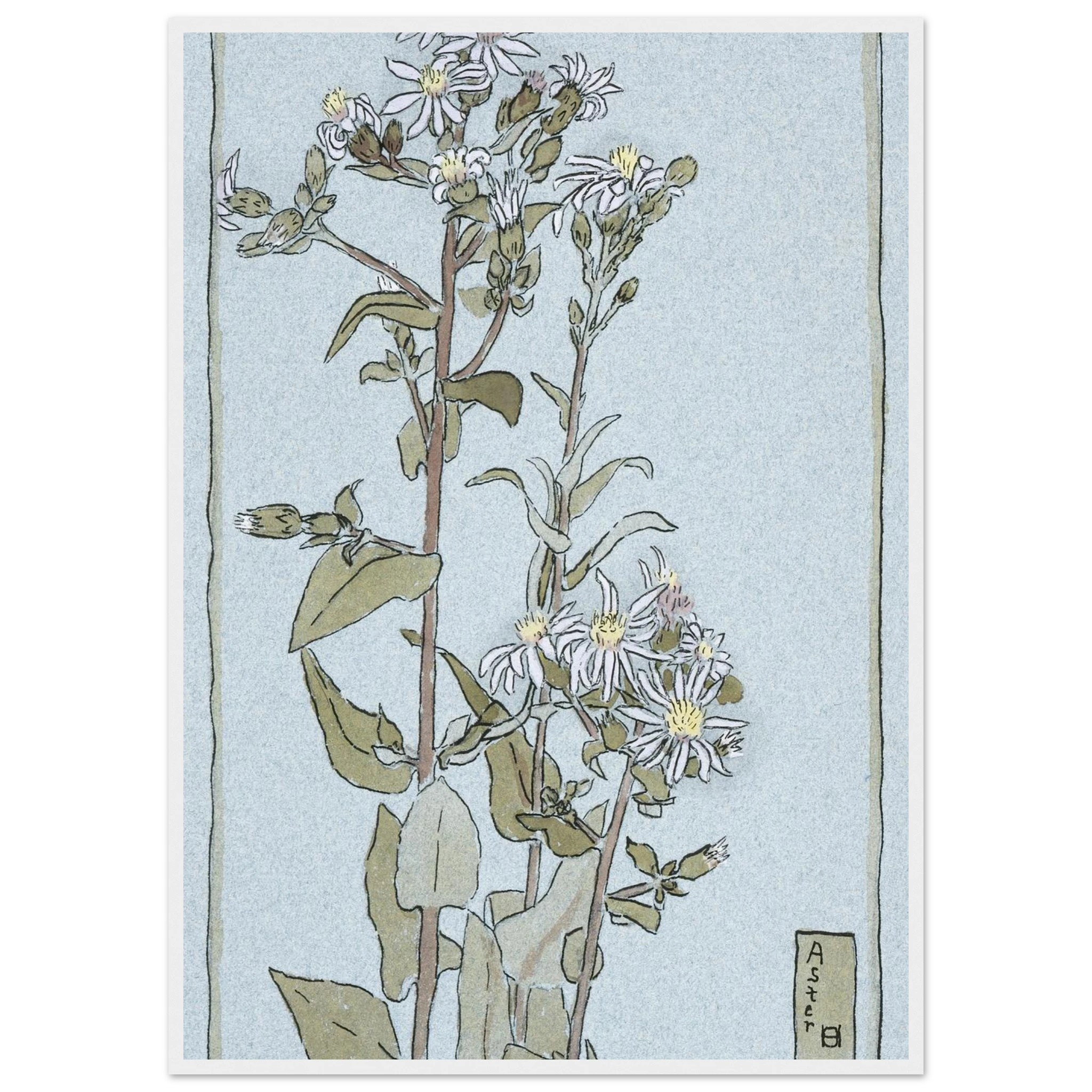 dcc23a99-d8a8-4bdd-9118-ae4164c6b6fc