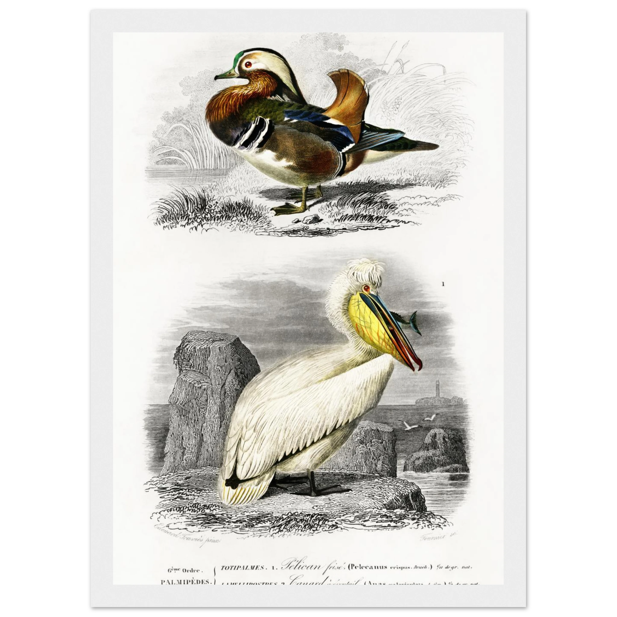 dd39496a-df57-4675-b522-4a1917bfa26d