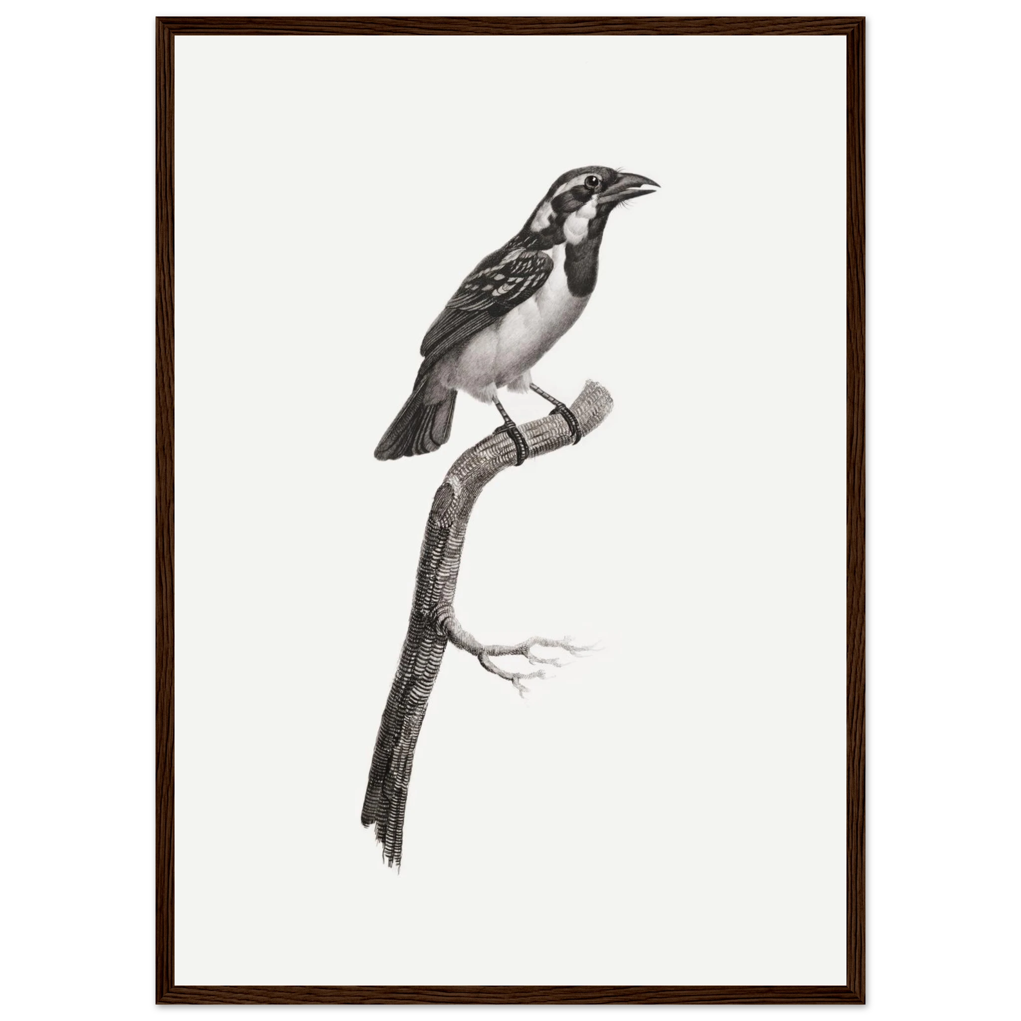 dd6a71b5-9b99-426b-bb09-75a482b83372