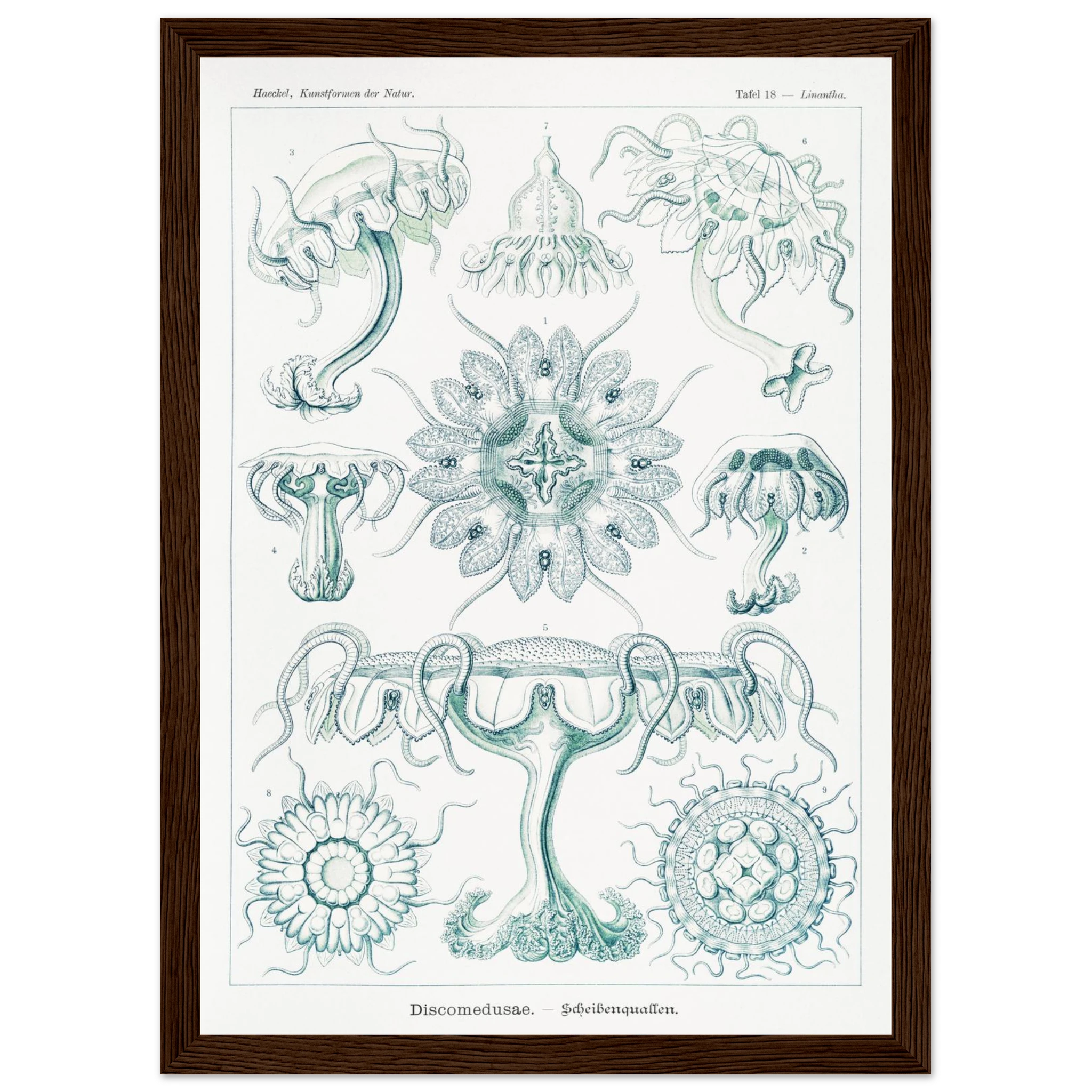 dd87476f-463c-4a13-b386-480b1eff8ca1