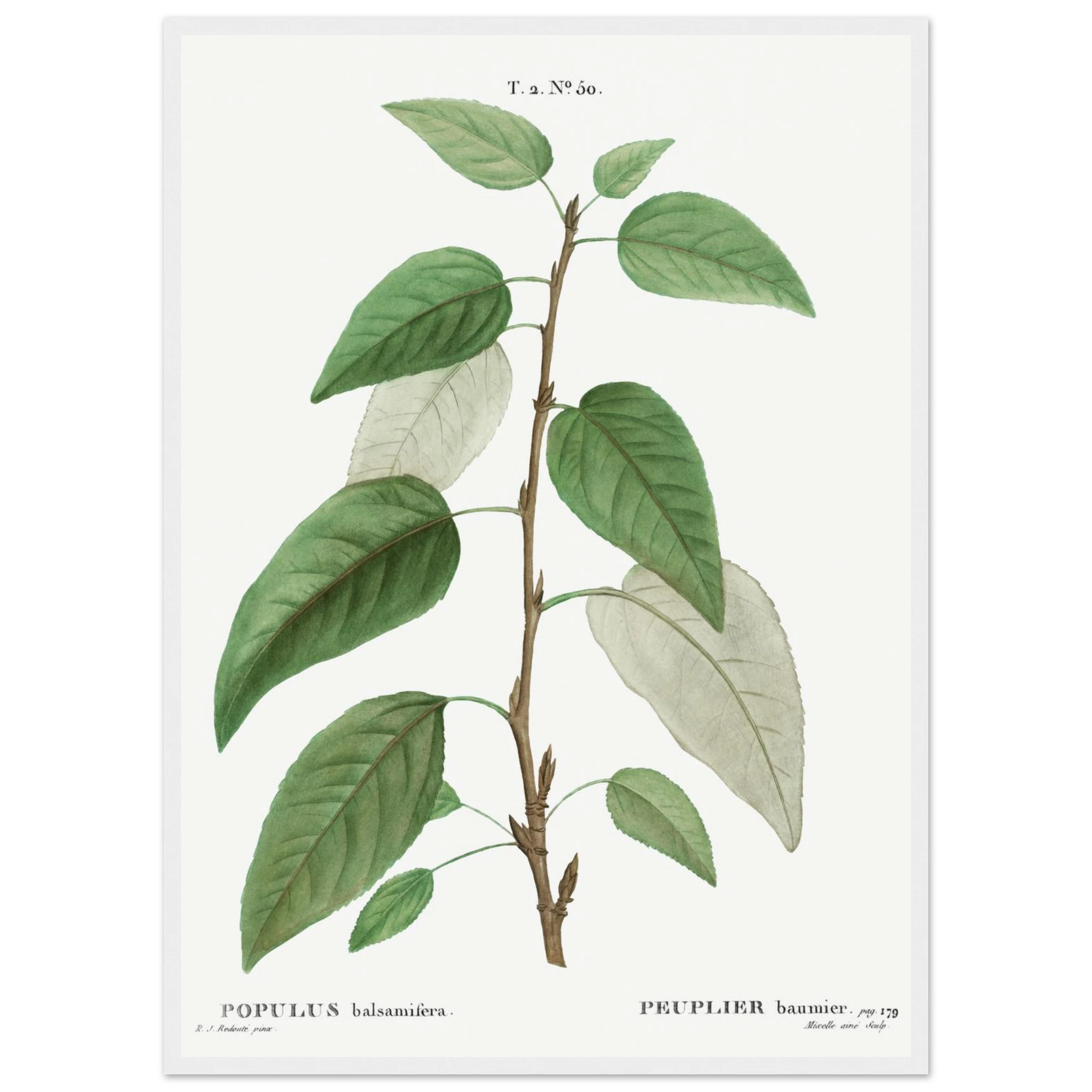 dd9baeb9-1a7e-4e19-96c2-1a332f783b24