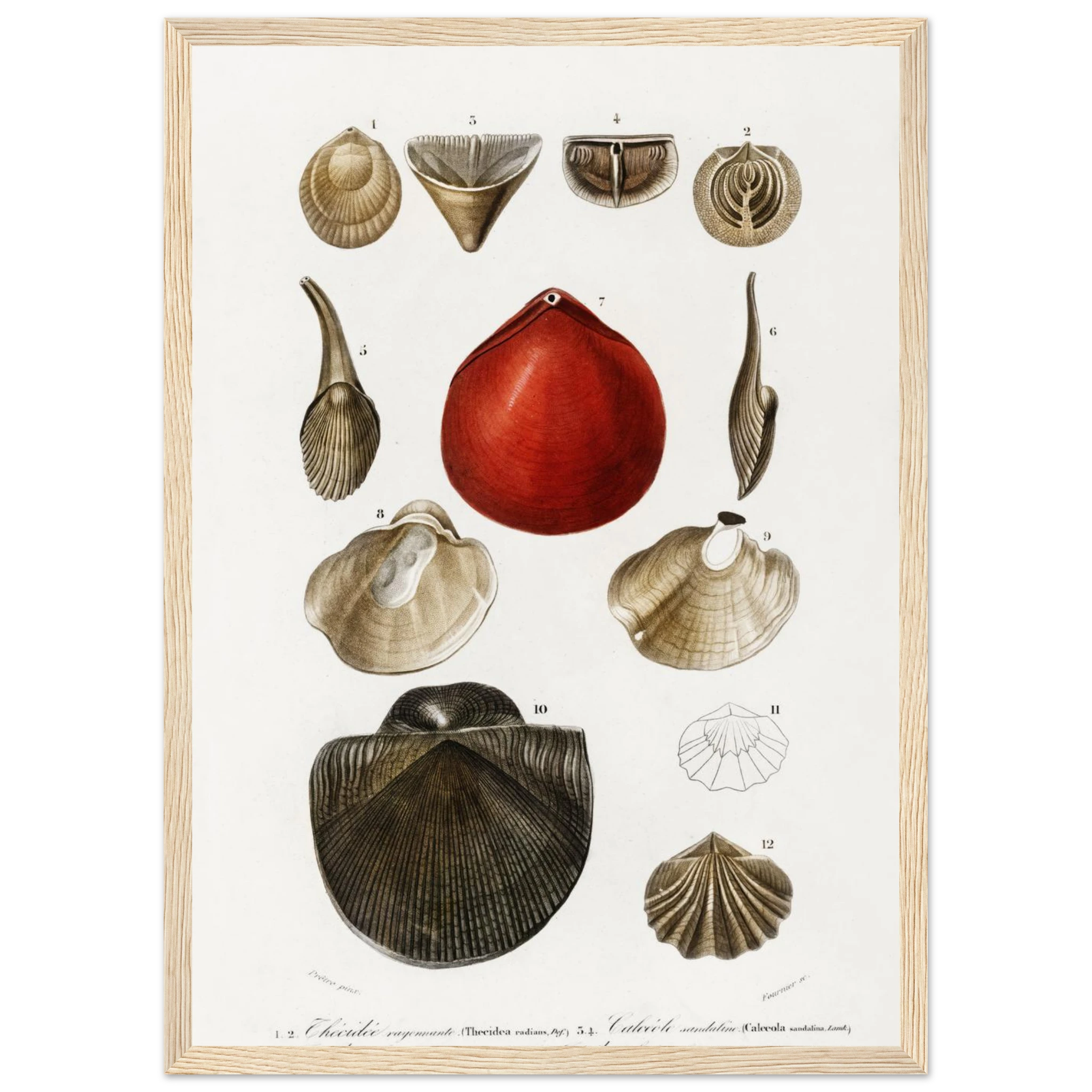 dda244fa-b9c1-4acd-9715-608e7f4a13f5