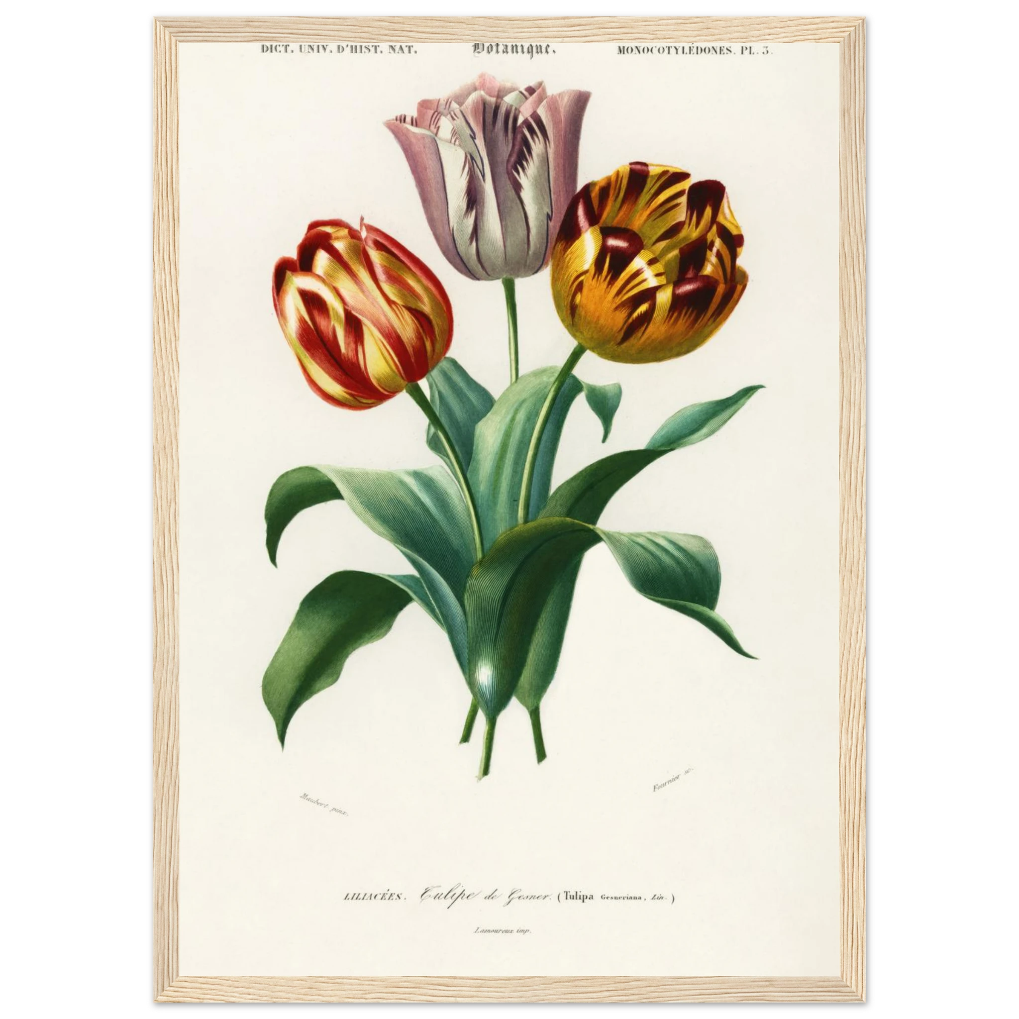 dddc95a5-4acf-4dd5-9e9e-d08c01748c15