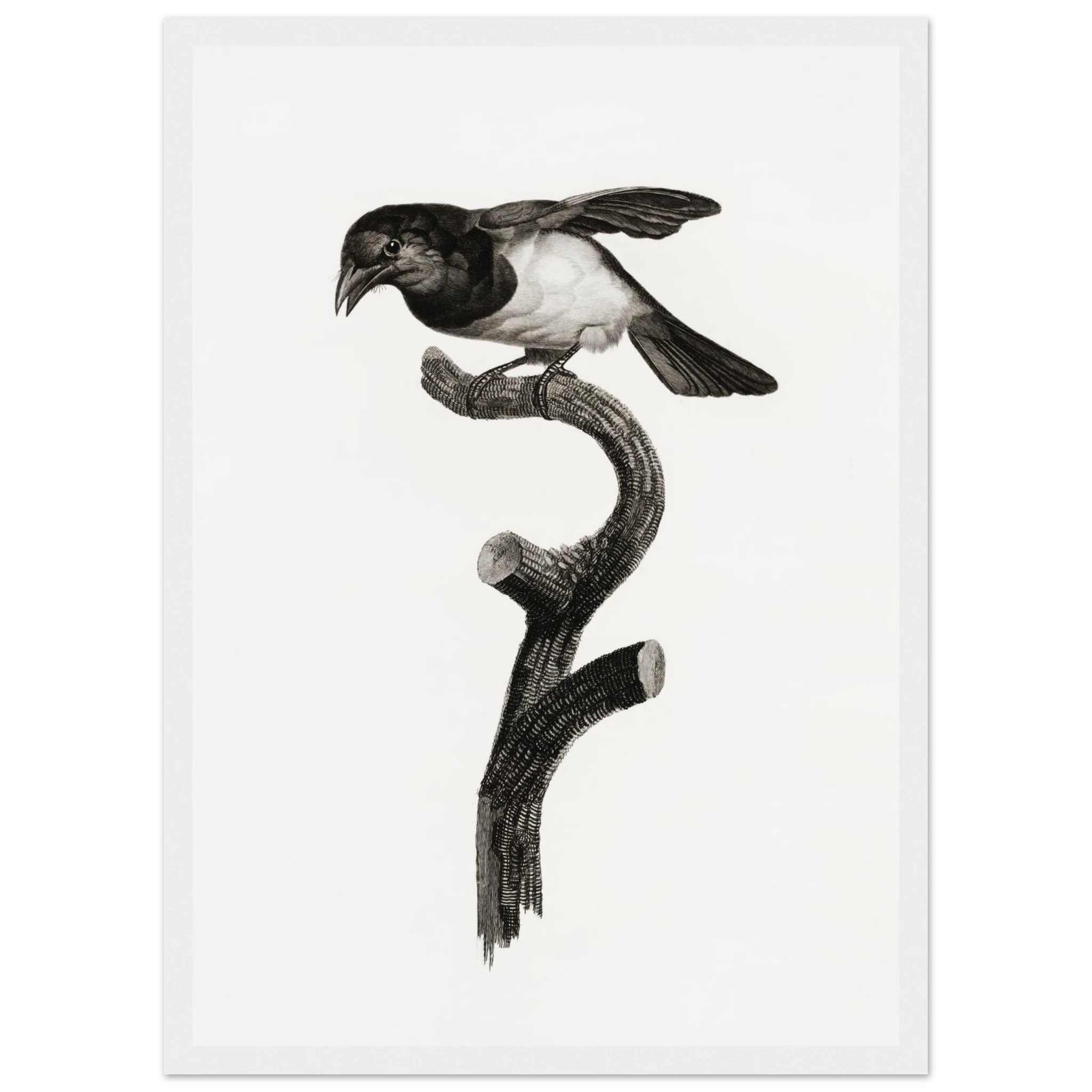 dddd65db-218a-4812-ab8c-fb562ea3b110