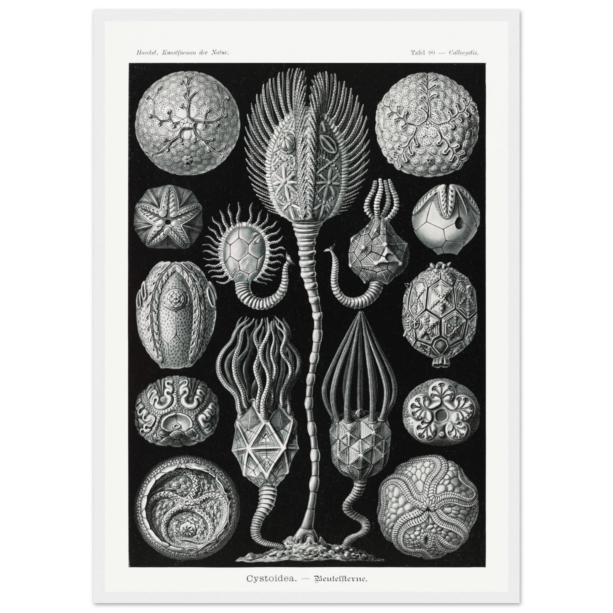 de69c74e-c31f-4749-a505-dcf48234df13