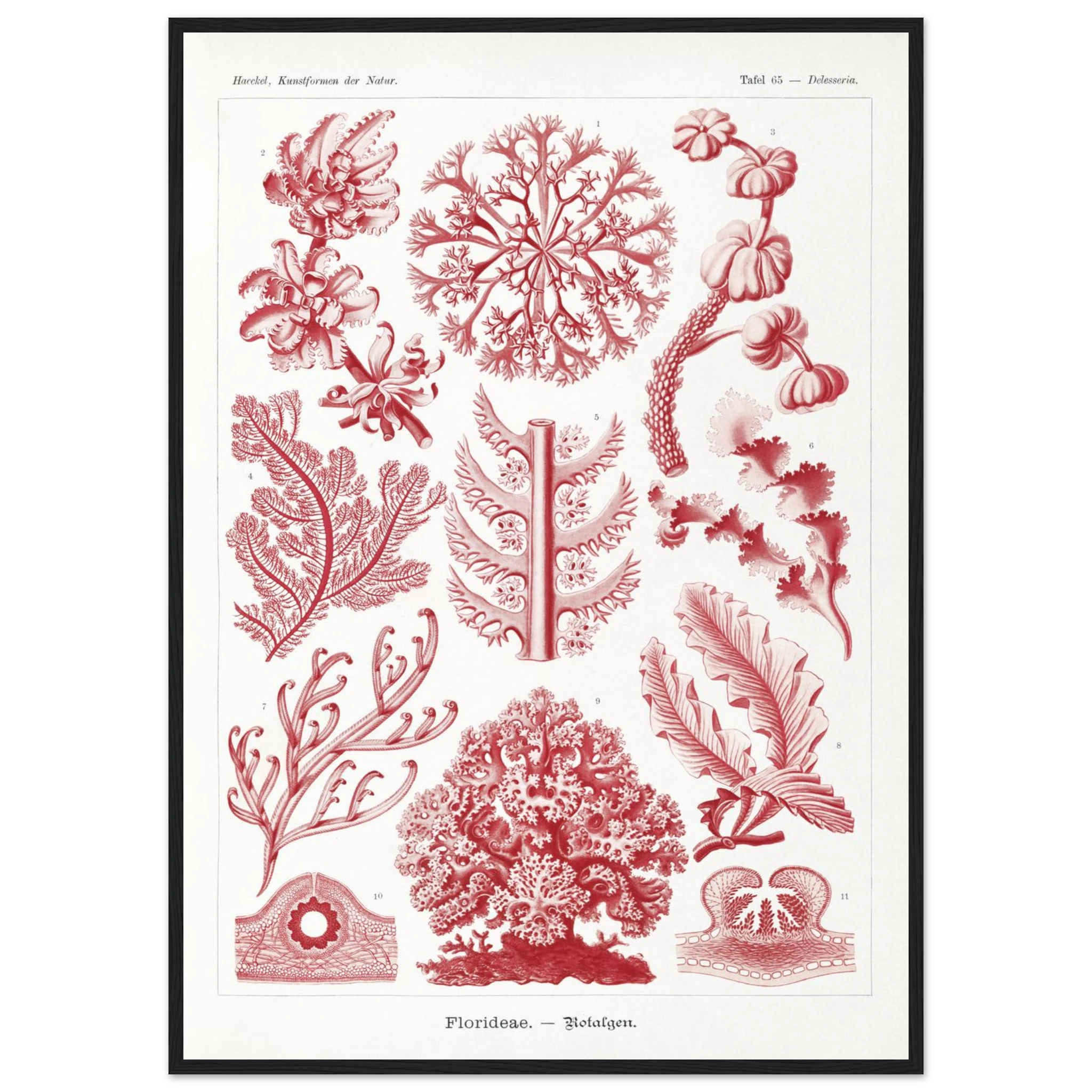 de6b0e11-911d-4a0a-bc6b-6cbb170f379c