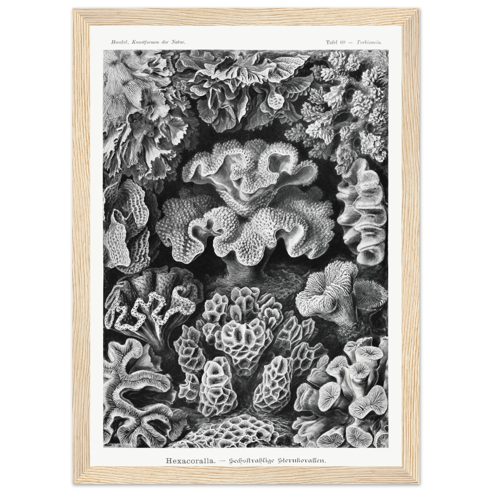 dea74129-6f44-4eb0-8fb0-64ad22ea7d46