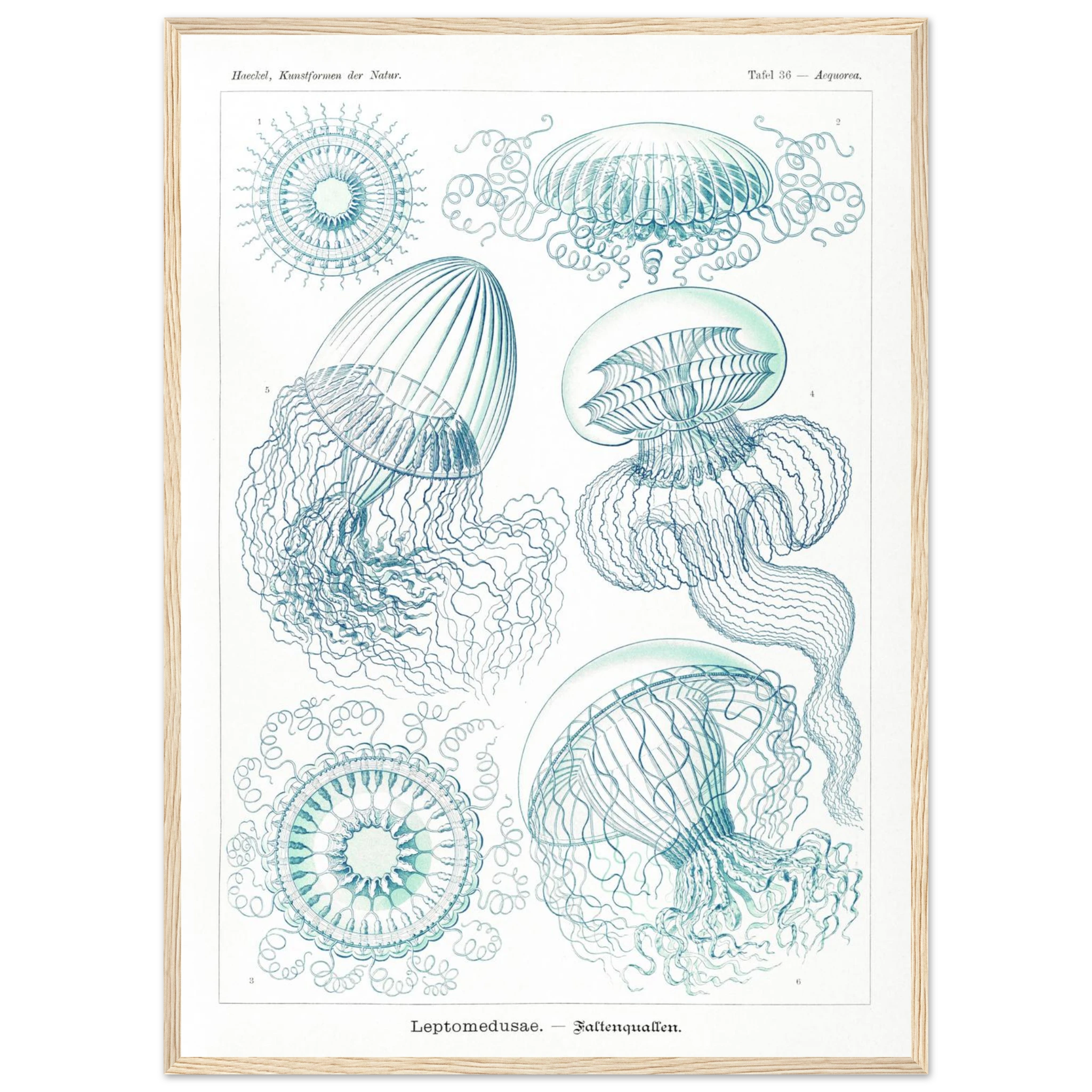 deb77b55-da73-472c-8c8e-be560c268013