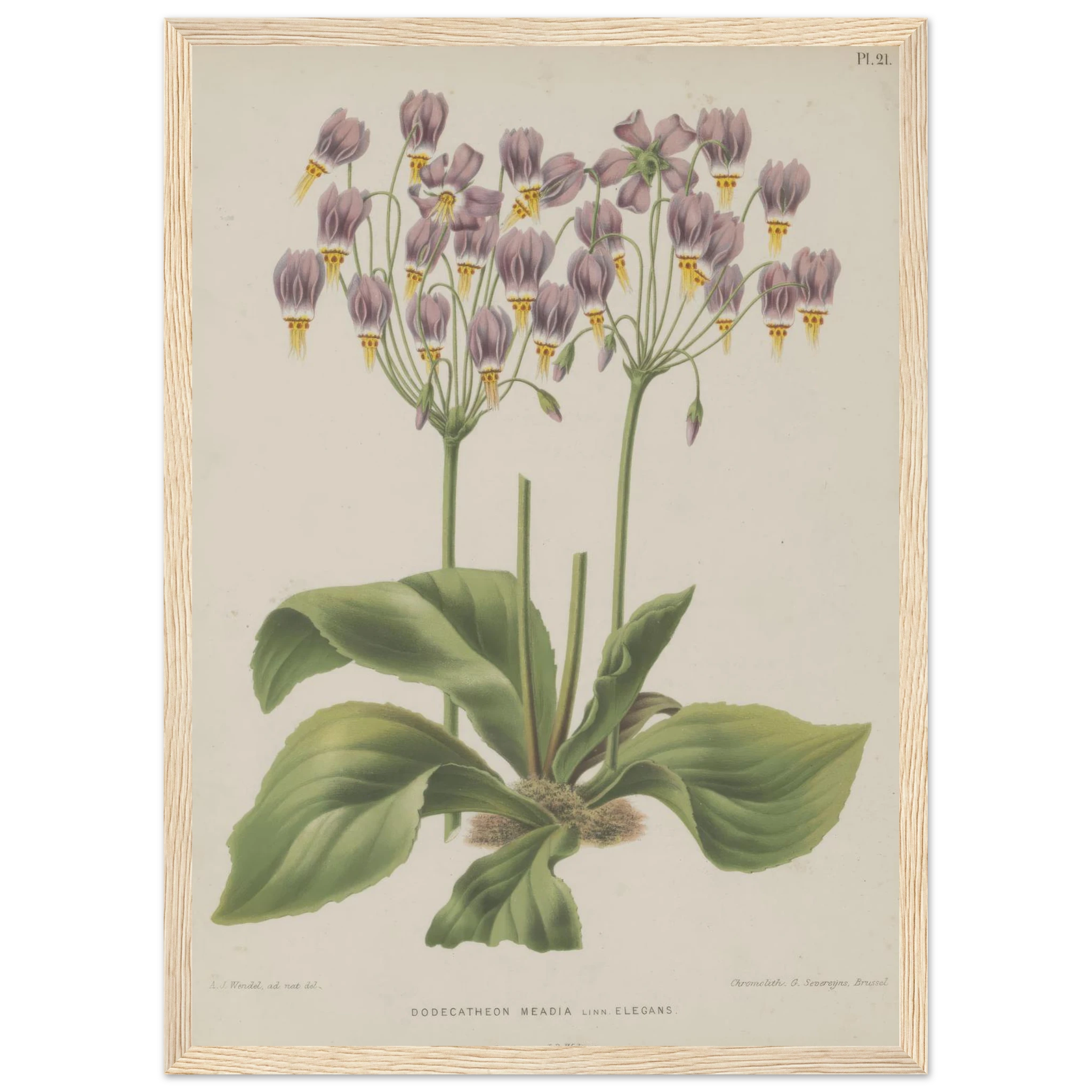 ded7ae2d-aca7-4f13-8acd-5bb654e62a3f