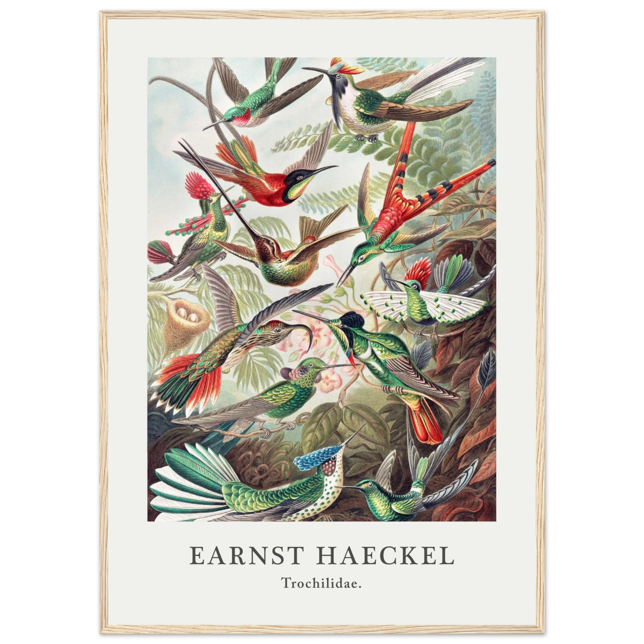 dee94319-76c1-47a4-a0a7-ef649b6df4ea