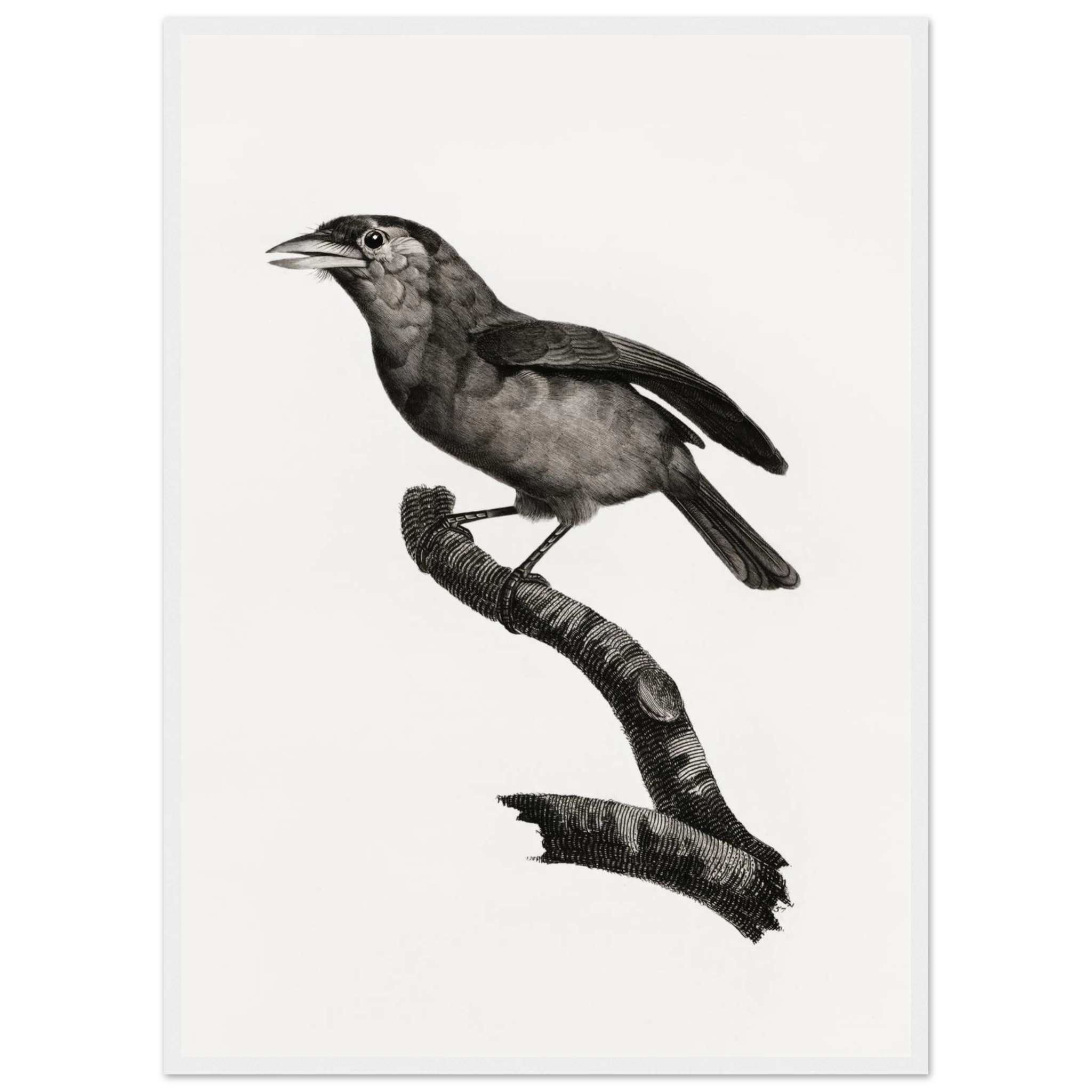 df3748b4-d756-4038-a598-3b6c8ee71d71