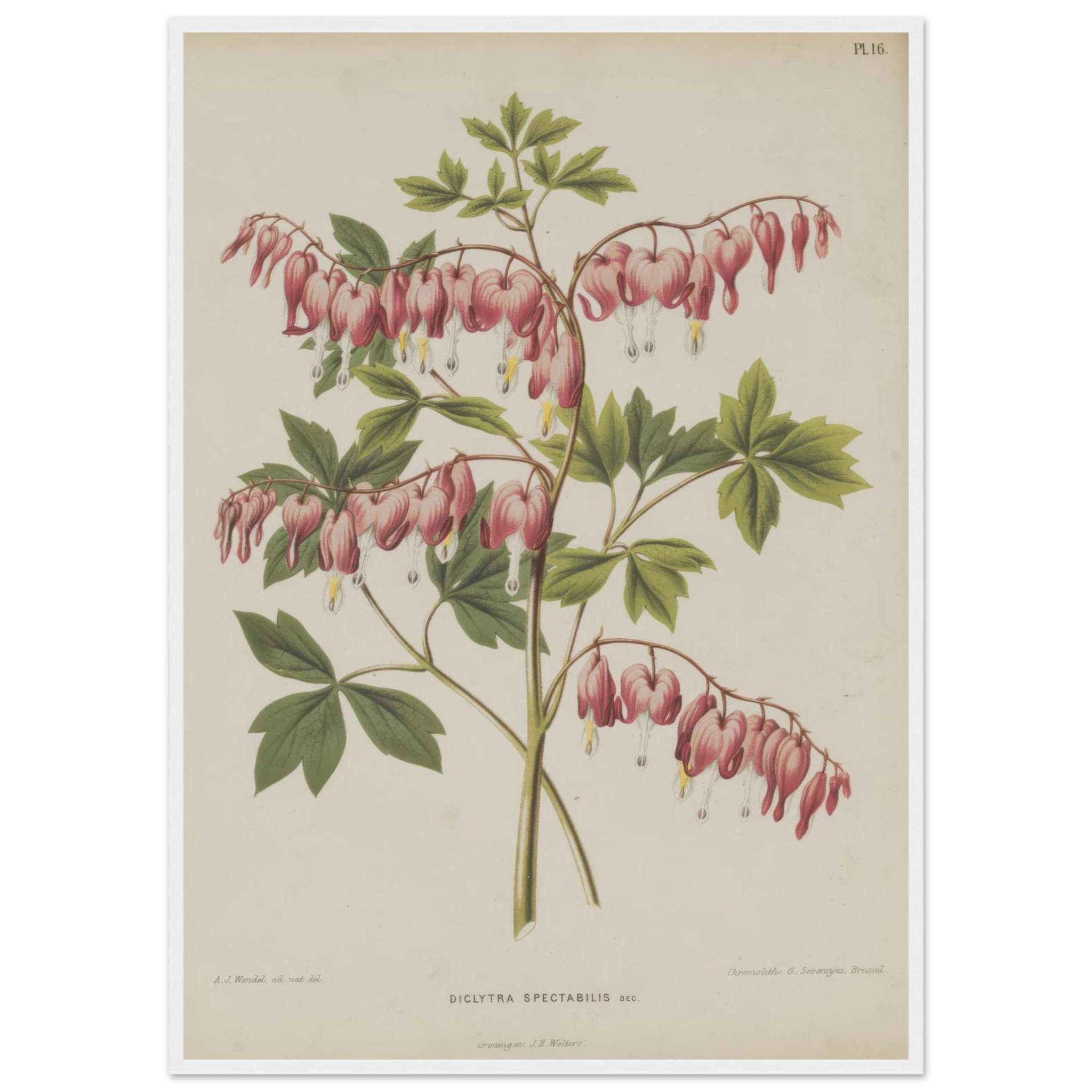 df567343-00ff-4bba-8e93-f4e6321b5af7