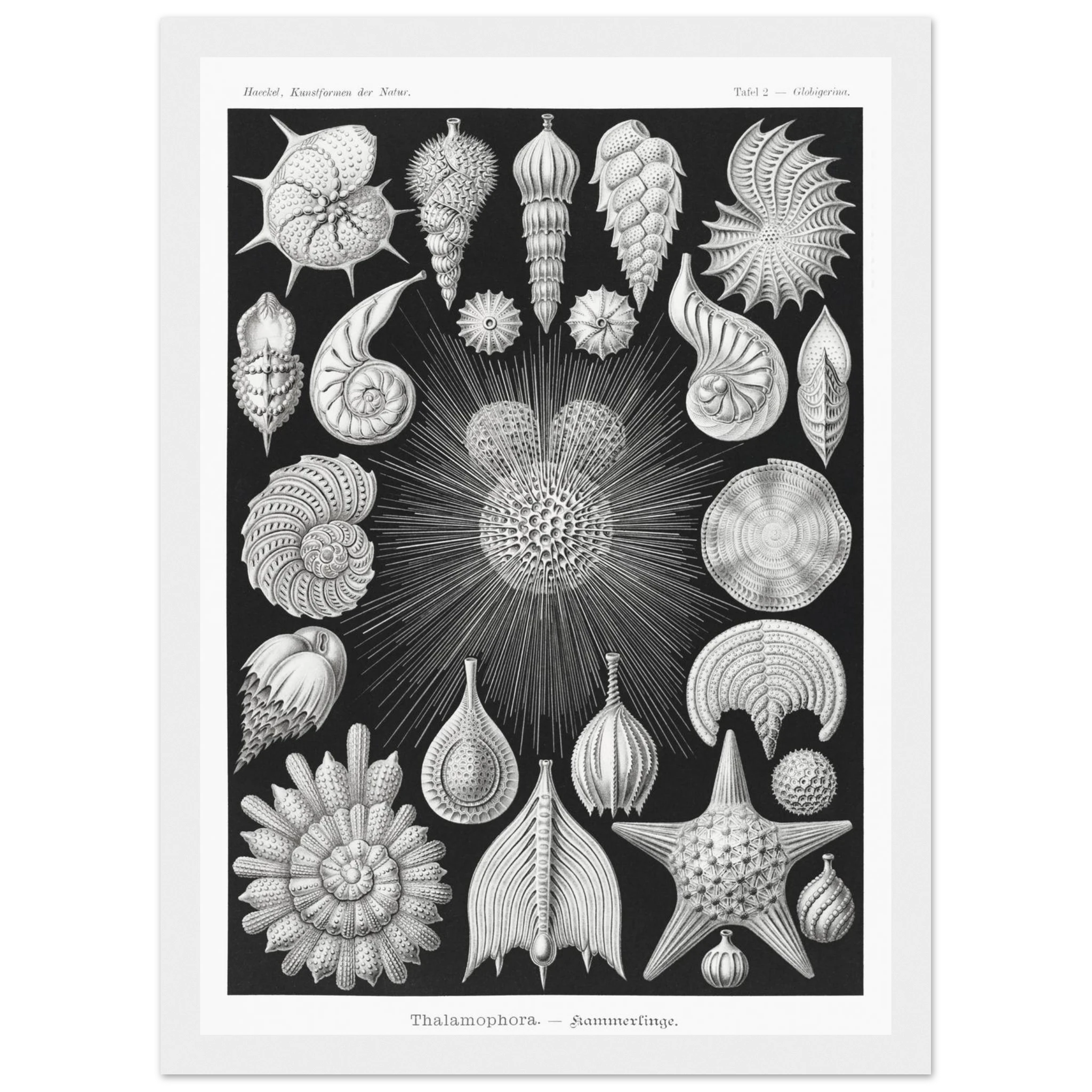 dfbf12c6-e656-4bf3-b303-e552653515d2