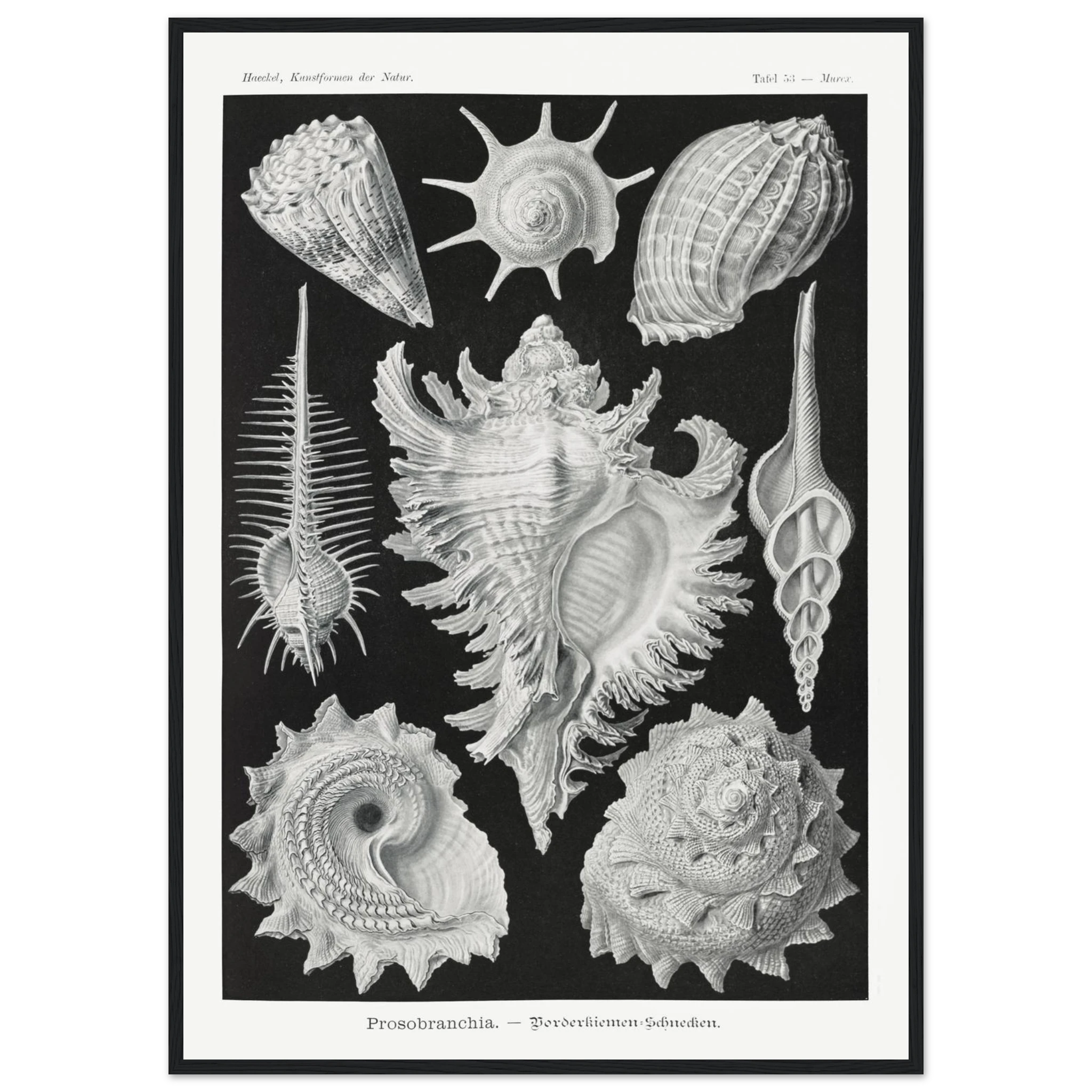 dfc21bb5-6416-4d11-913f-544483692596