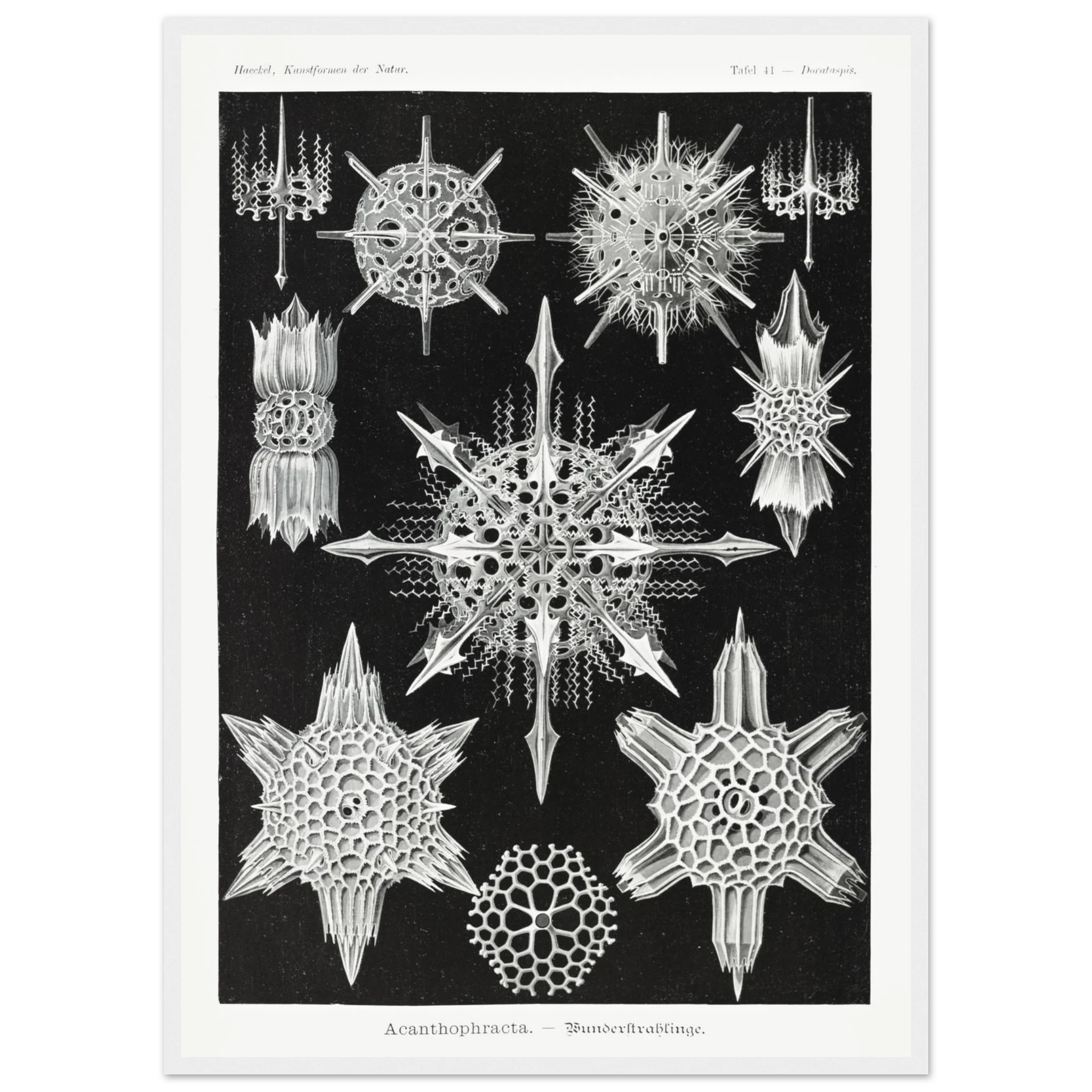 dfc62a6e-0bac-48e9-bc3c-ddb4b002dcd5