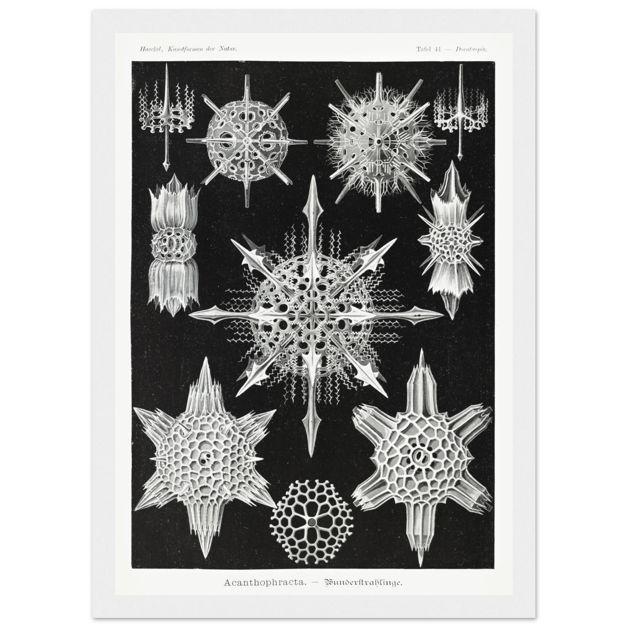 dfdb565a-2967-4b22-b28f-0674092fac7b