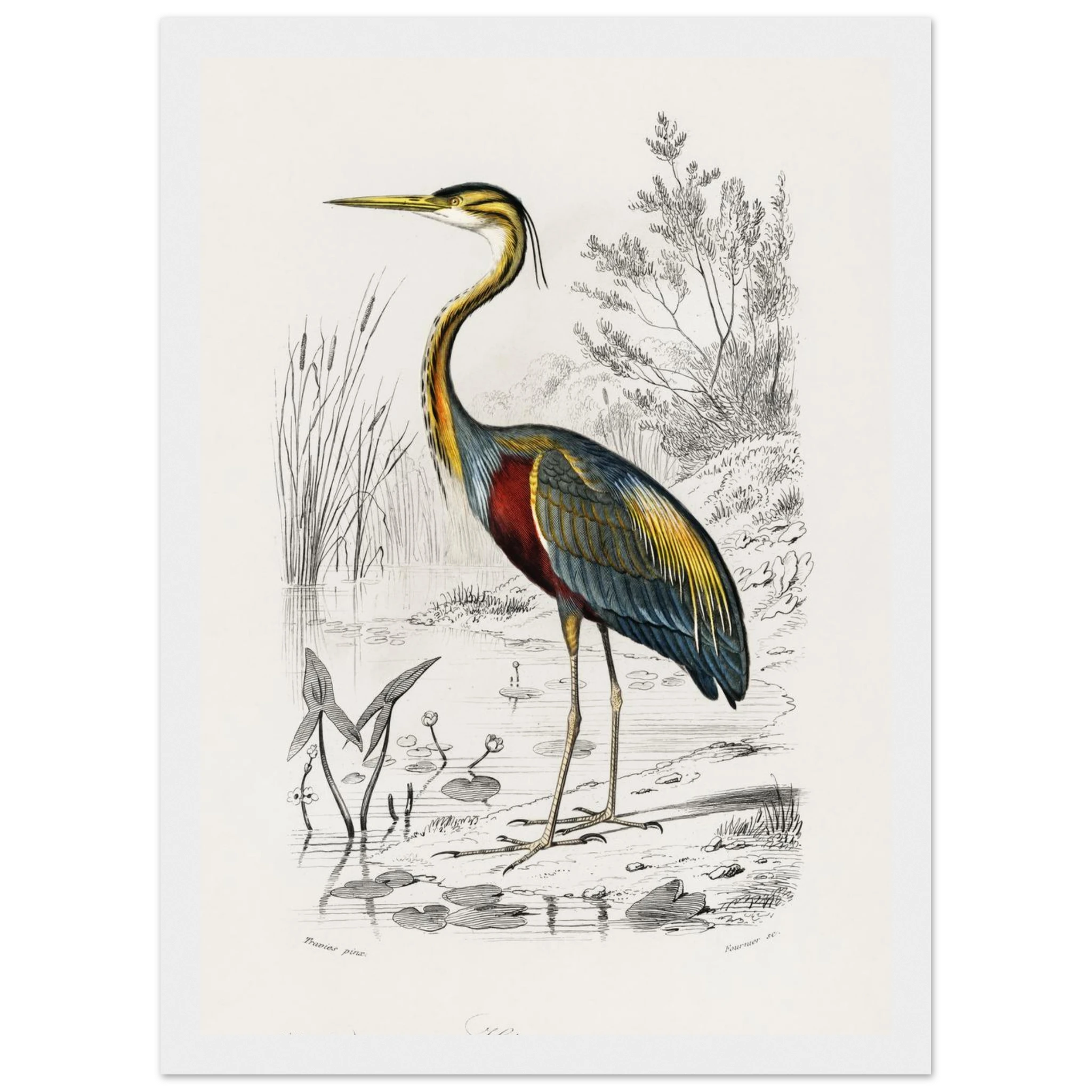 dfe53b0a-c074-481a-bdb3-24442f9d0e73