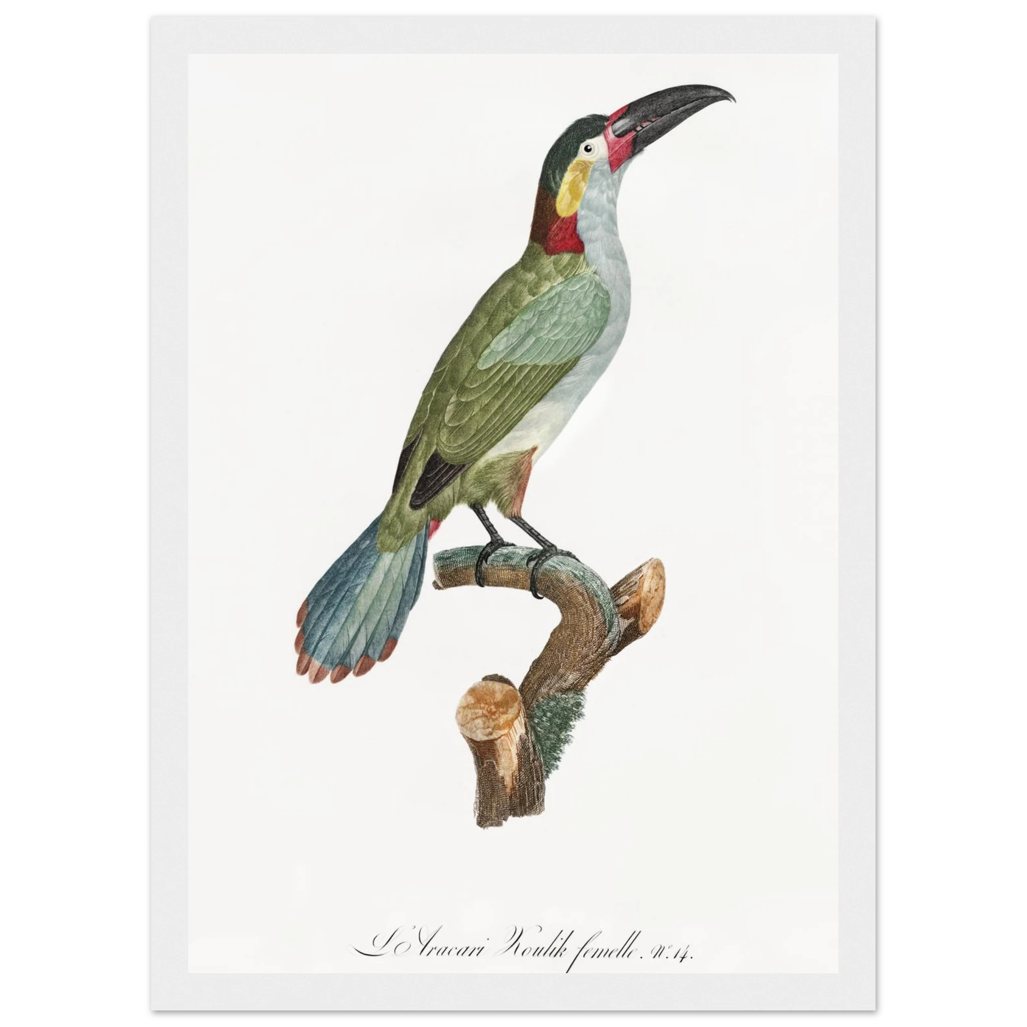 dfe64d66-67f4-4ec8-98c6-cec7d6d3d155