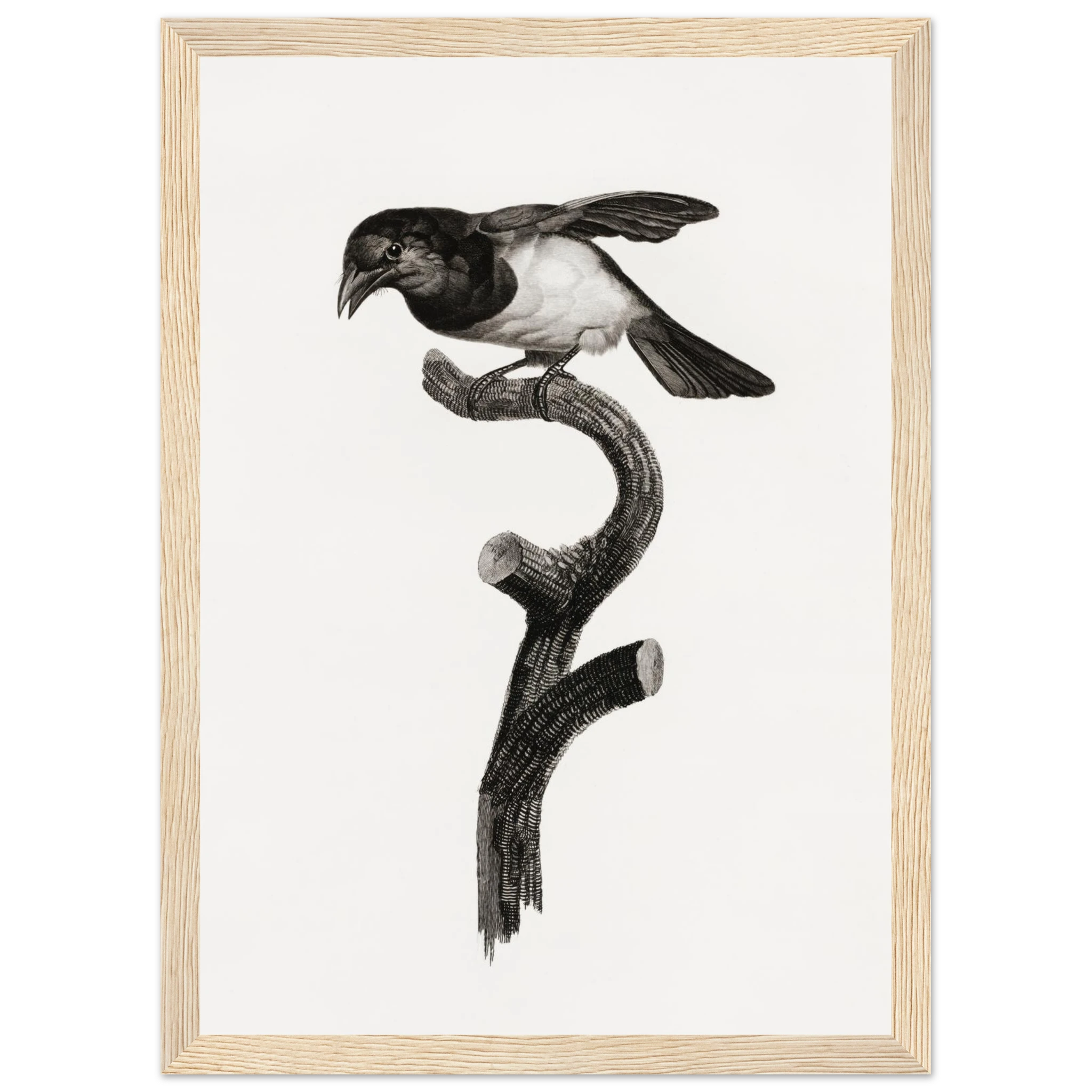 e0046e76-1b6e-412b-b06c-b15bddb74eb8