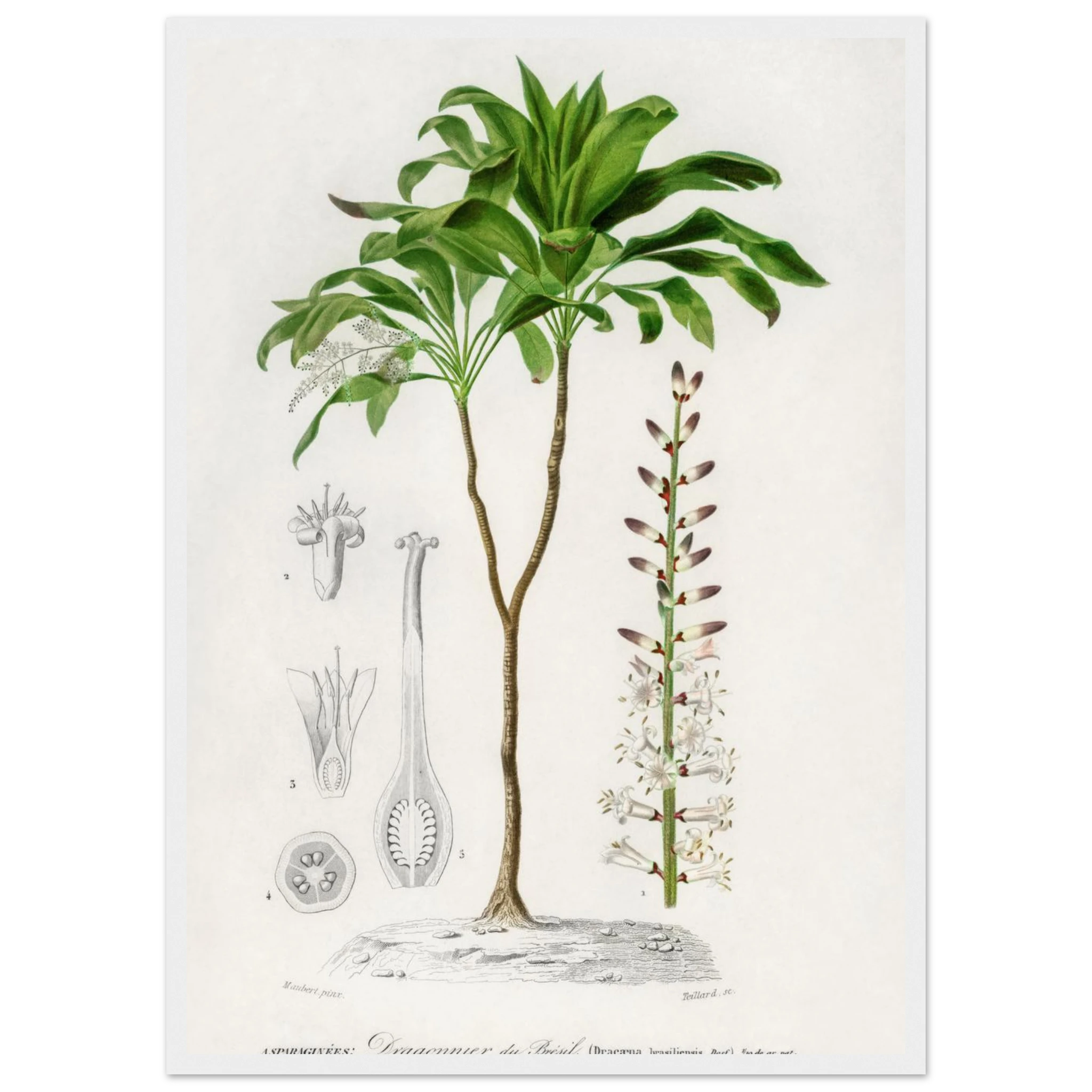 e02ed263-937c-44de-a1ed-128a0a2cac1f