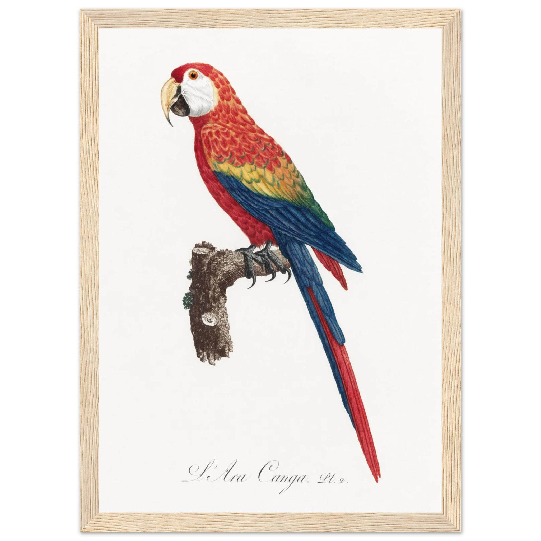 e054fe38-95d5-447e-aabb-12d0cecf2882