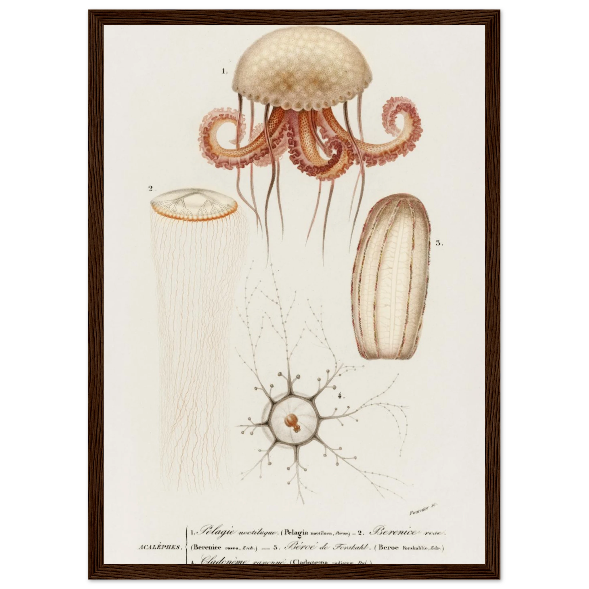 e087f3f5-c160-4a3f-b425-e192384e333a