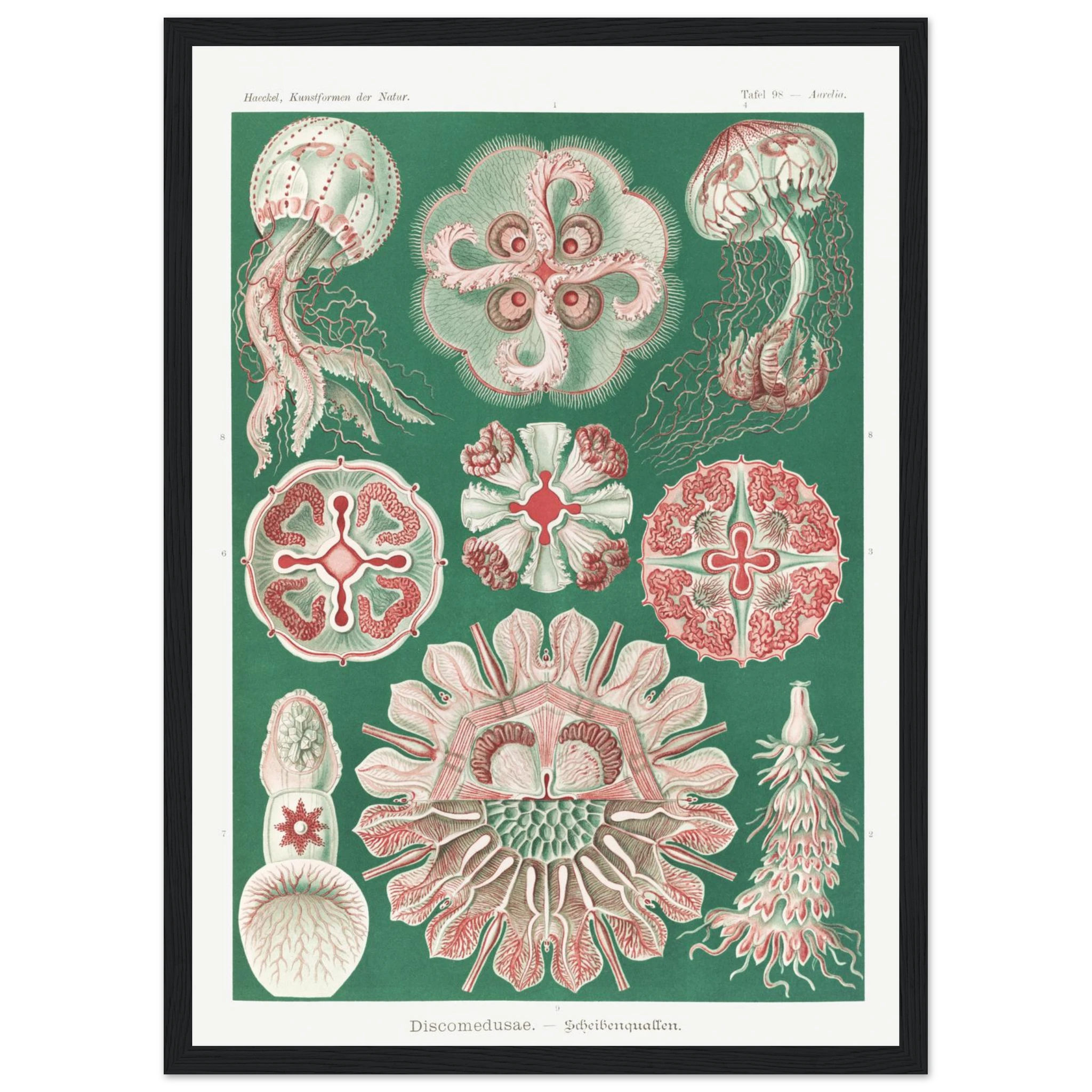 e09215a6-e67f-4966-ab7e-c7dc18905ea8