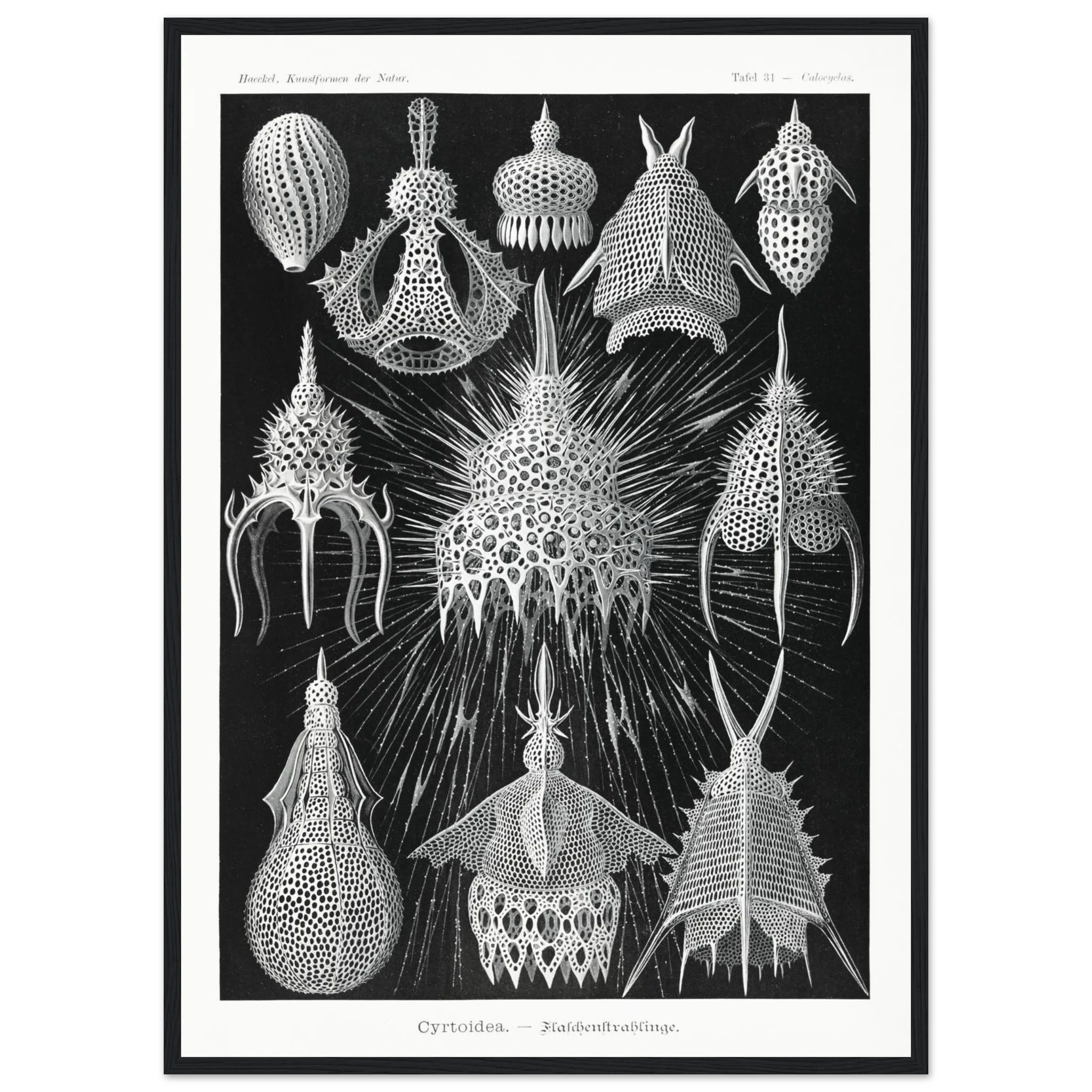 e09bb8d5-231c-4d68-b03a-cba36eaf696a