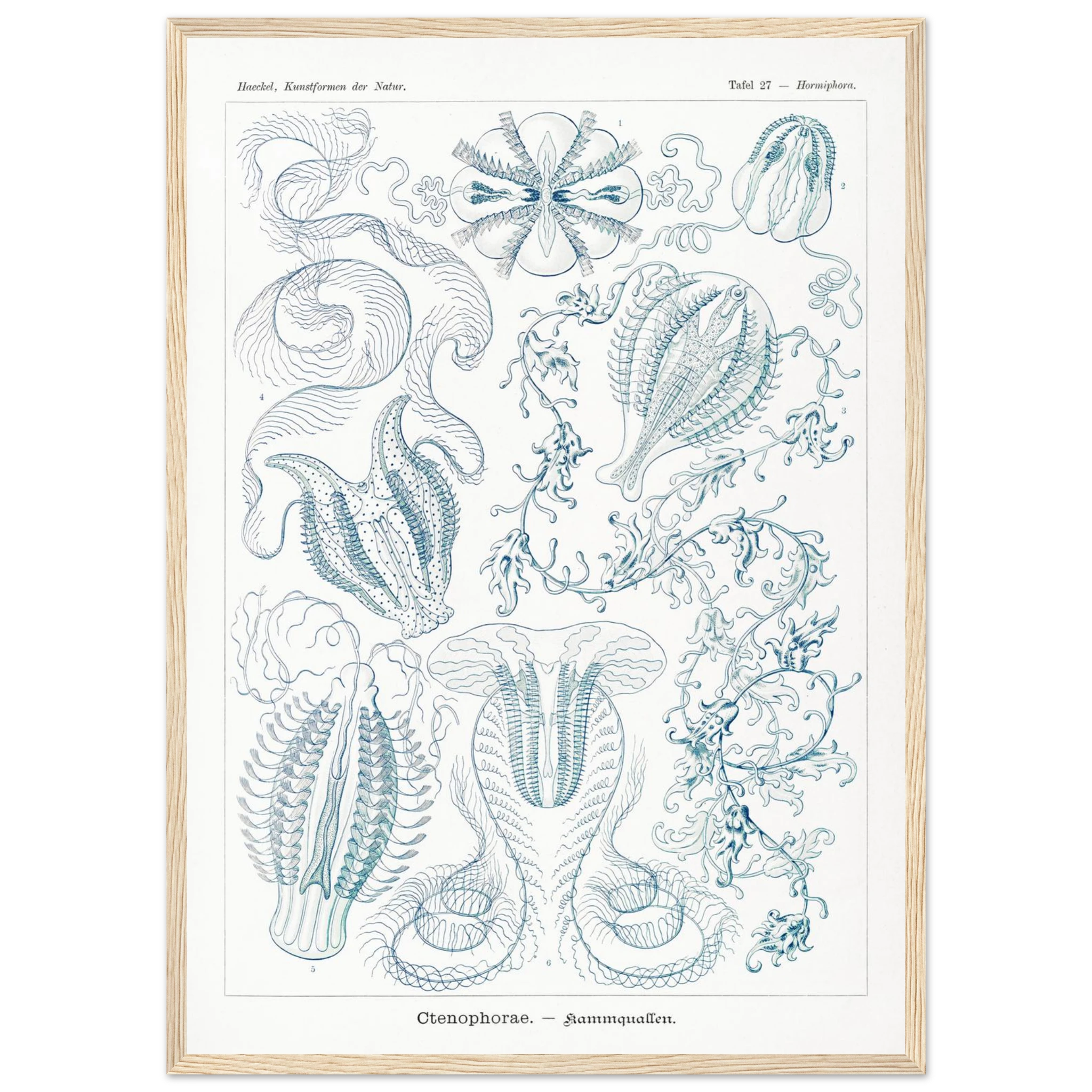 e0bf907f-9a66-401e-83c2-e1c5bb72fcb0