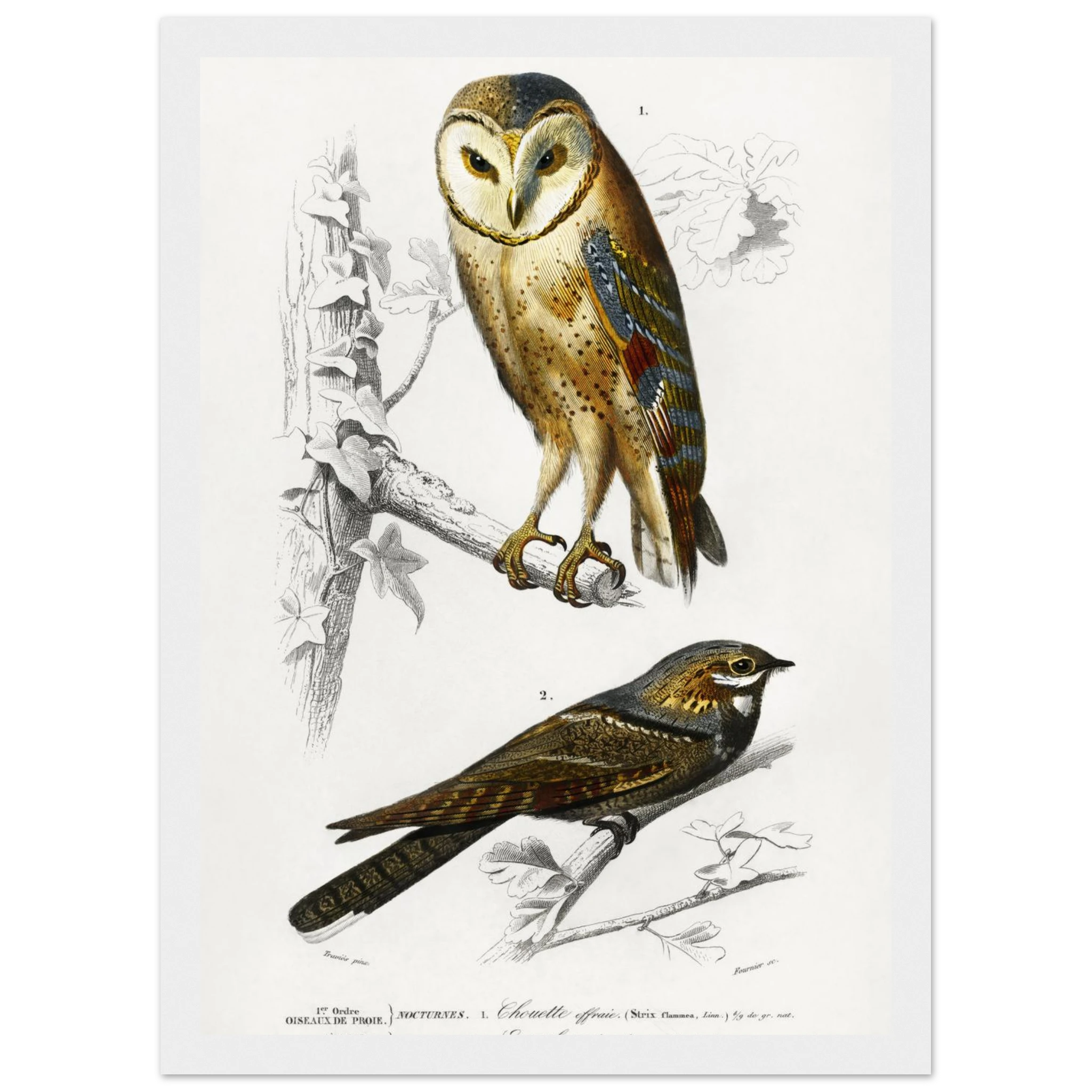 e0c816fb-0ca7-435c-a97b-f7f146bb0e4c