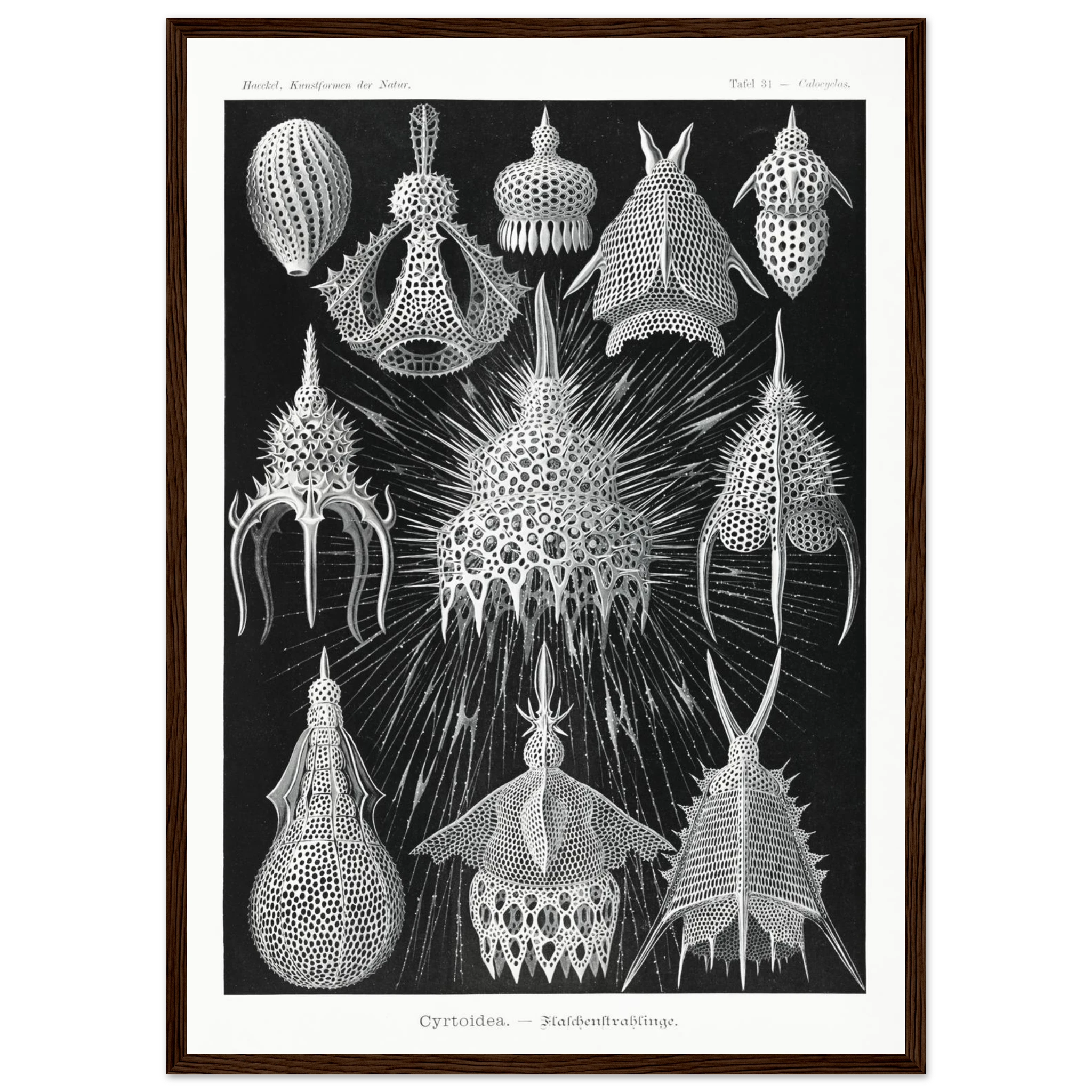 e0cb9e1c-b33d-4f7b-84e3-be9fe71beb55