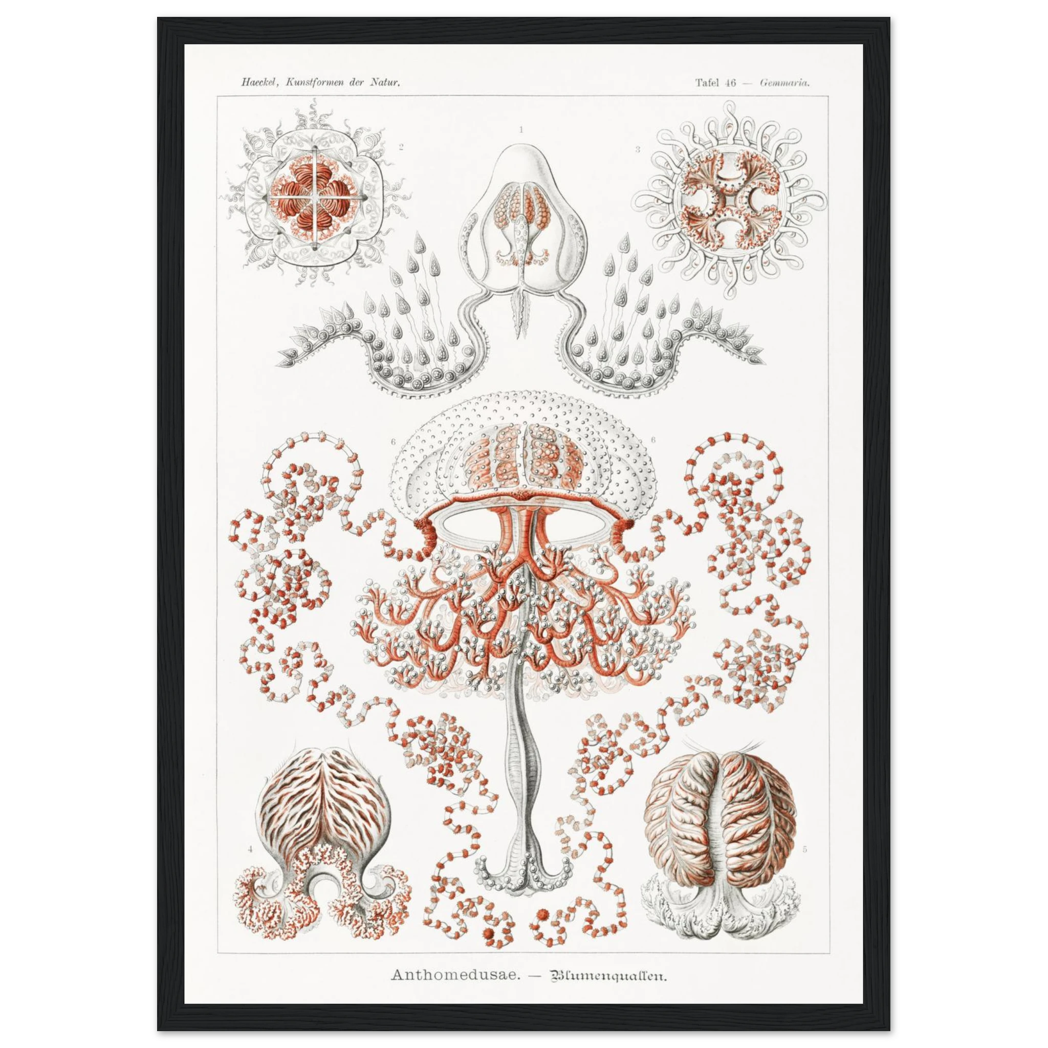 e1309ad1-f5b9-40a0-965c-7b9643e0067c