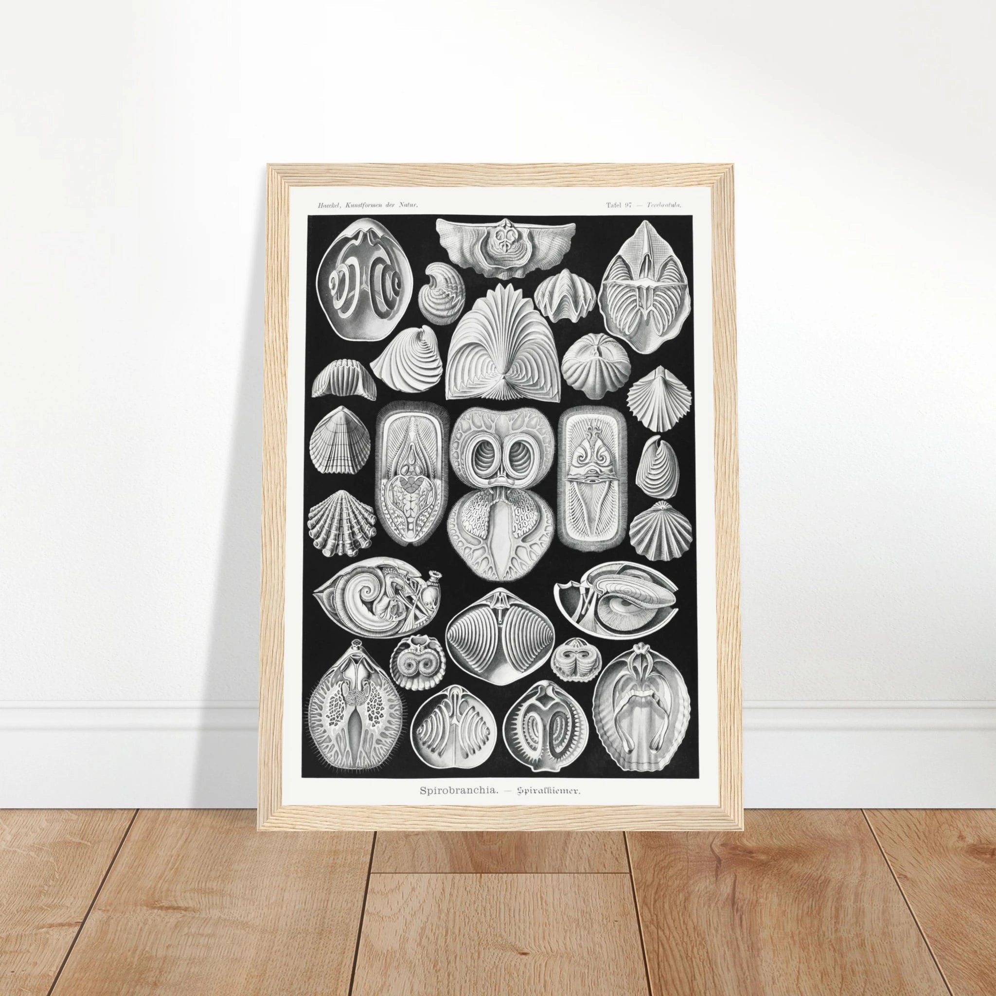 e131655b-761c-460a-91dc-e72b16e1f08a