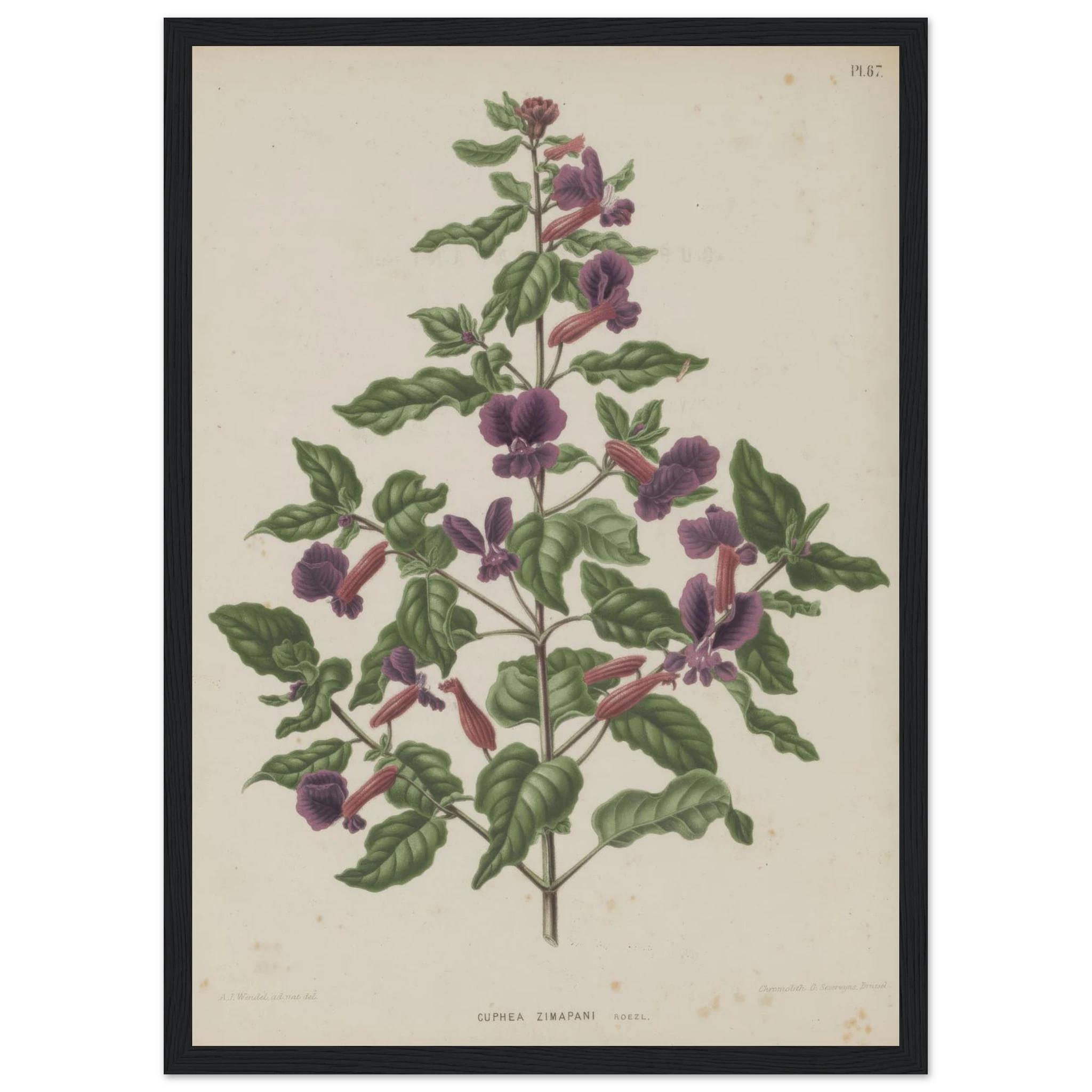 e1609af5-cc45-43d3-bf2a-5b9e0899986f