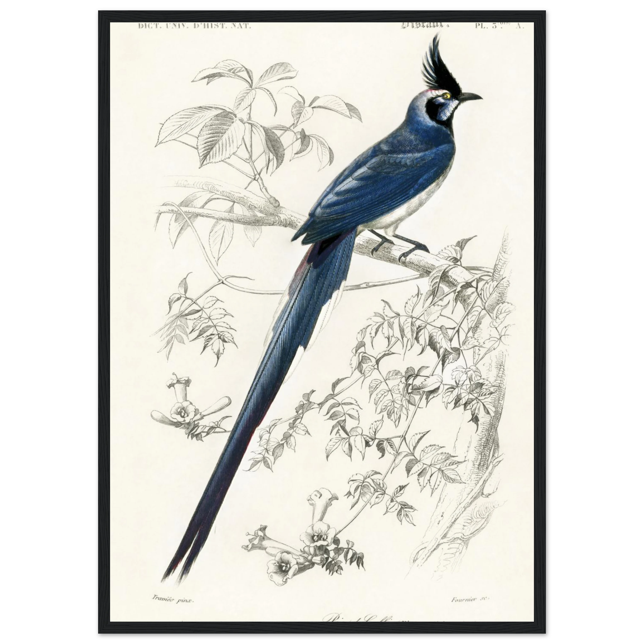 e1869baa-93da-415b-8da3-cfc427d08571