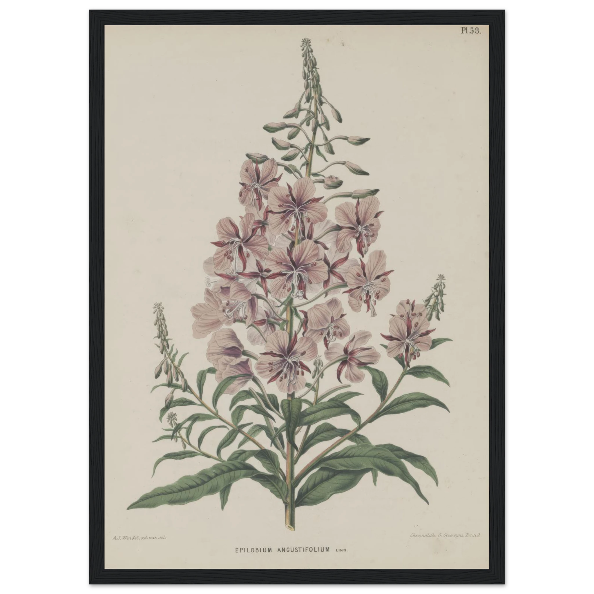 e1abe597-4618-4743-9ac8-b4596fd24761