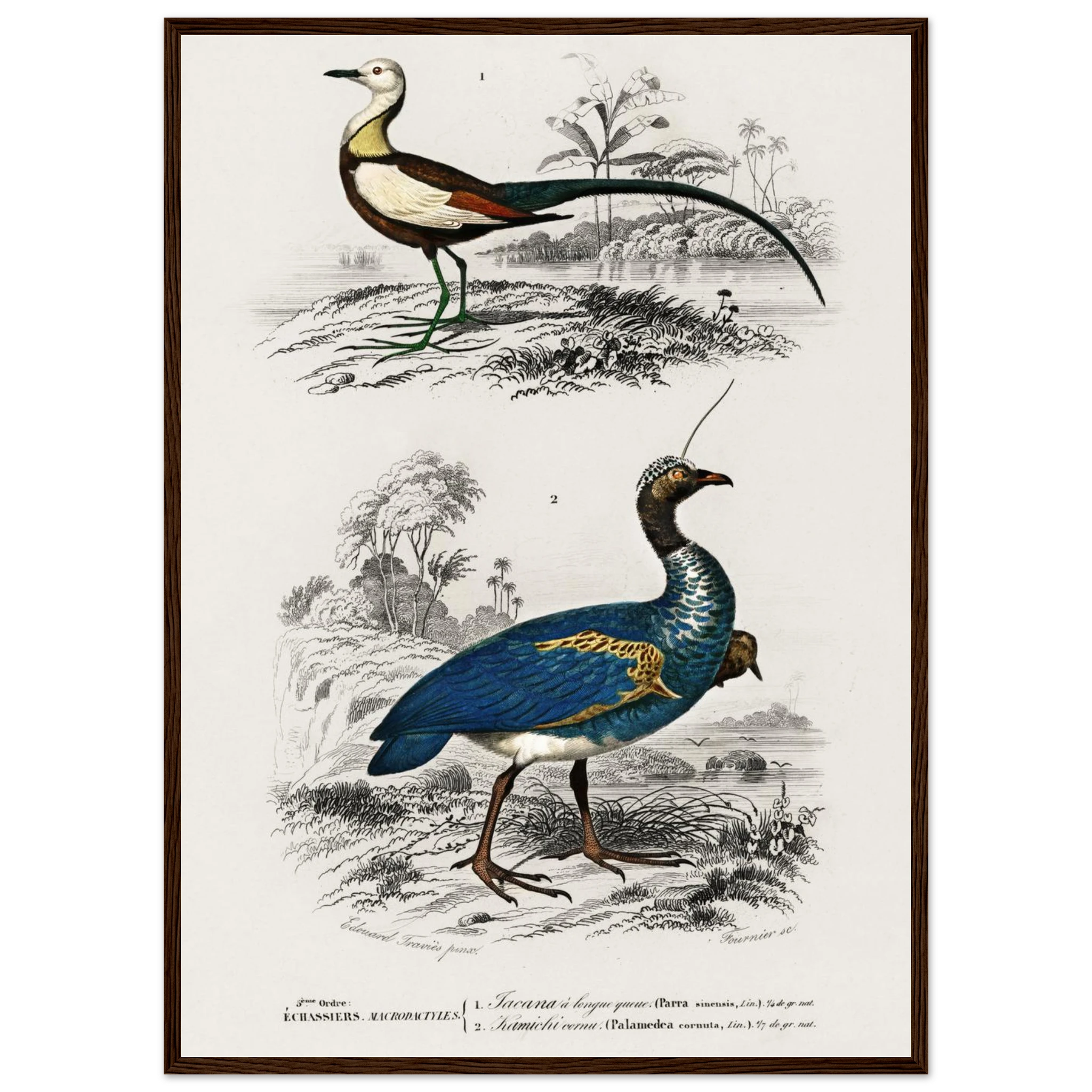 e1b5c883-05f2-4a8d-befb-ac1676df7340