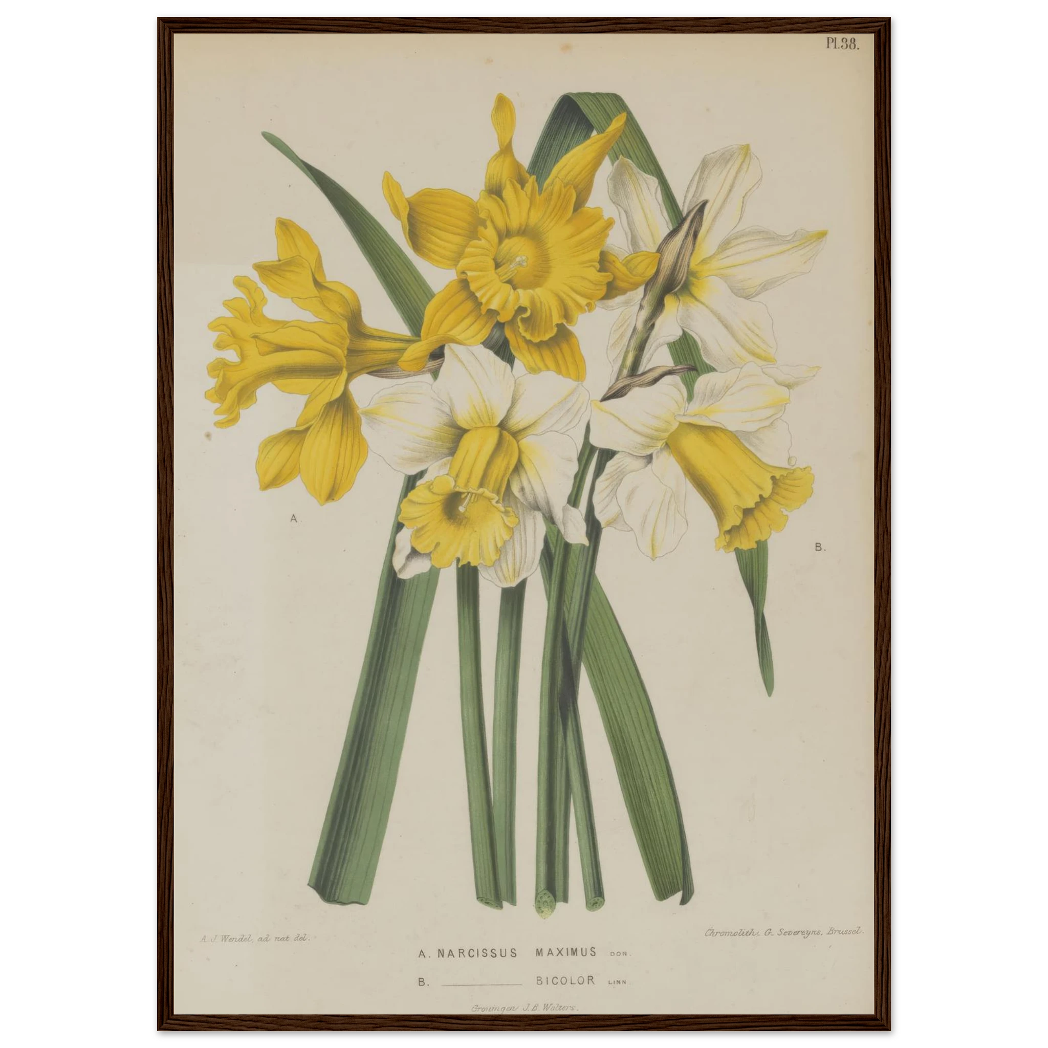 e1b7de67-2678-4dd0-8394-bda3b5000516