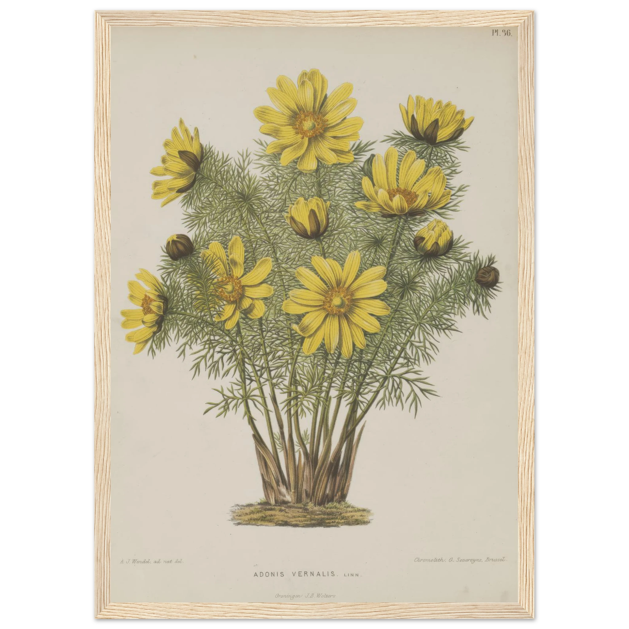 e1ba05ed-6547-46f2-b258-bdde0b02ba3b