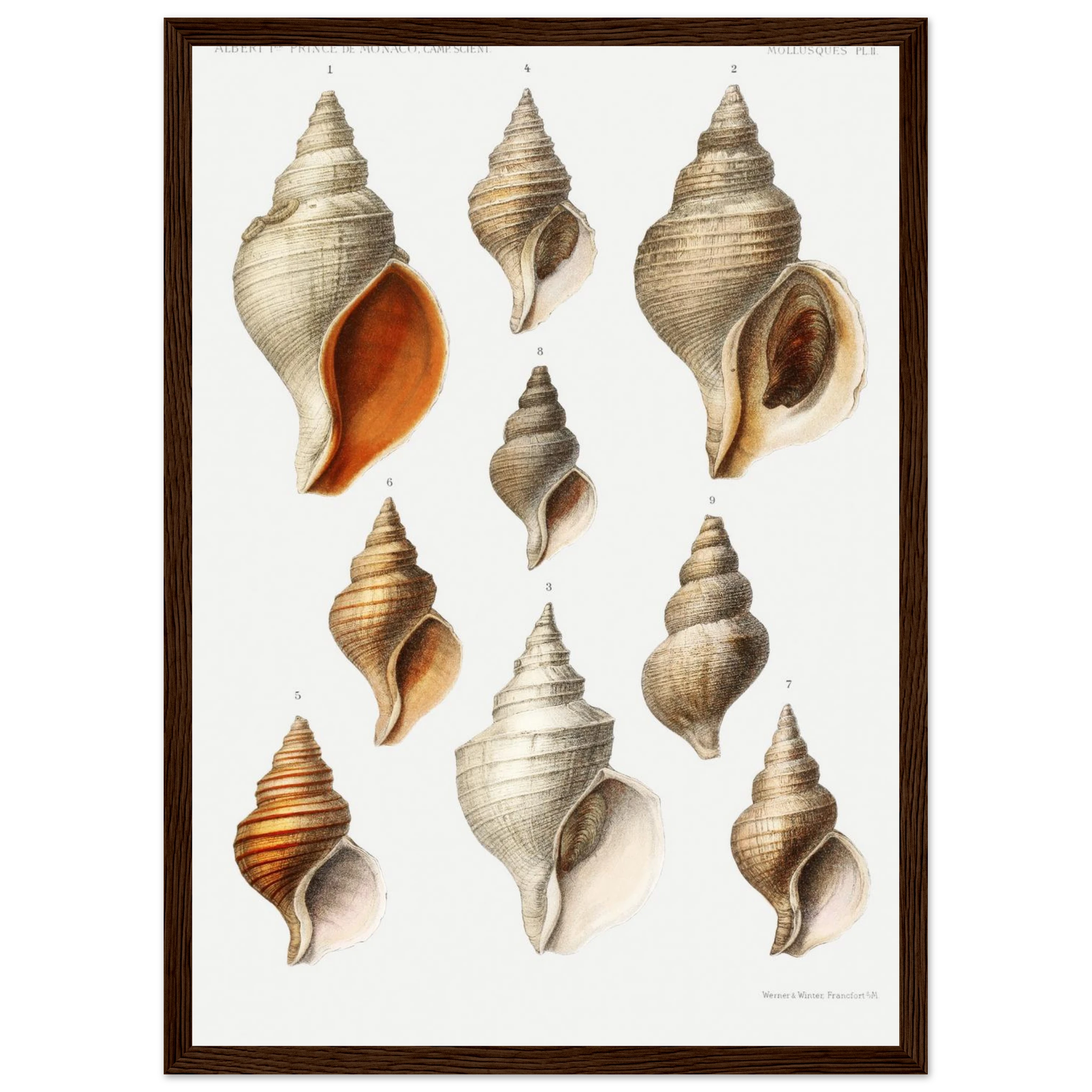 e239ce76-ff0a-4ca8-b395-ea93cfcd0efa