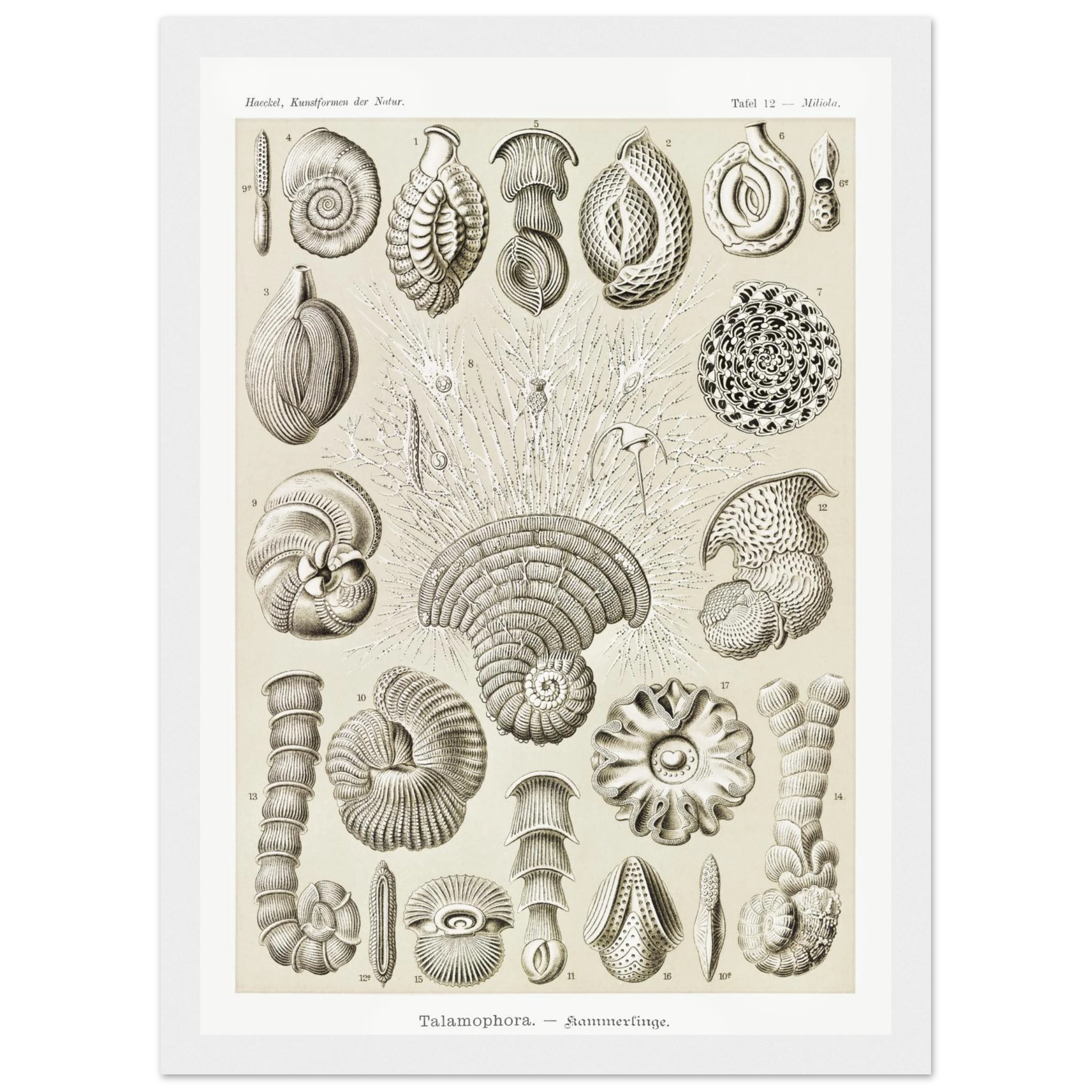 e2576cbc-c00d-44ab-bc6f-cb822fcd8075