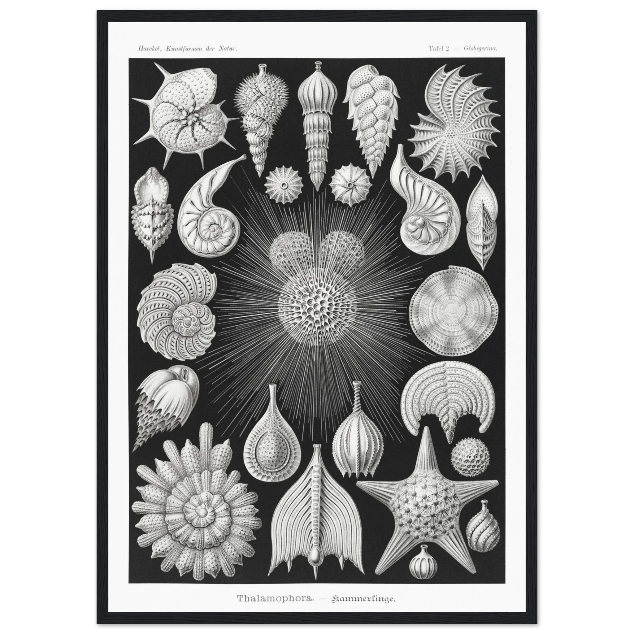 e26c42c2-38ba-40ba-ac9a-025dfac3e2b8